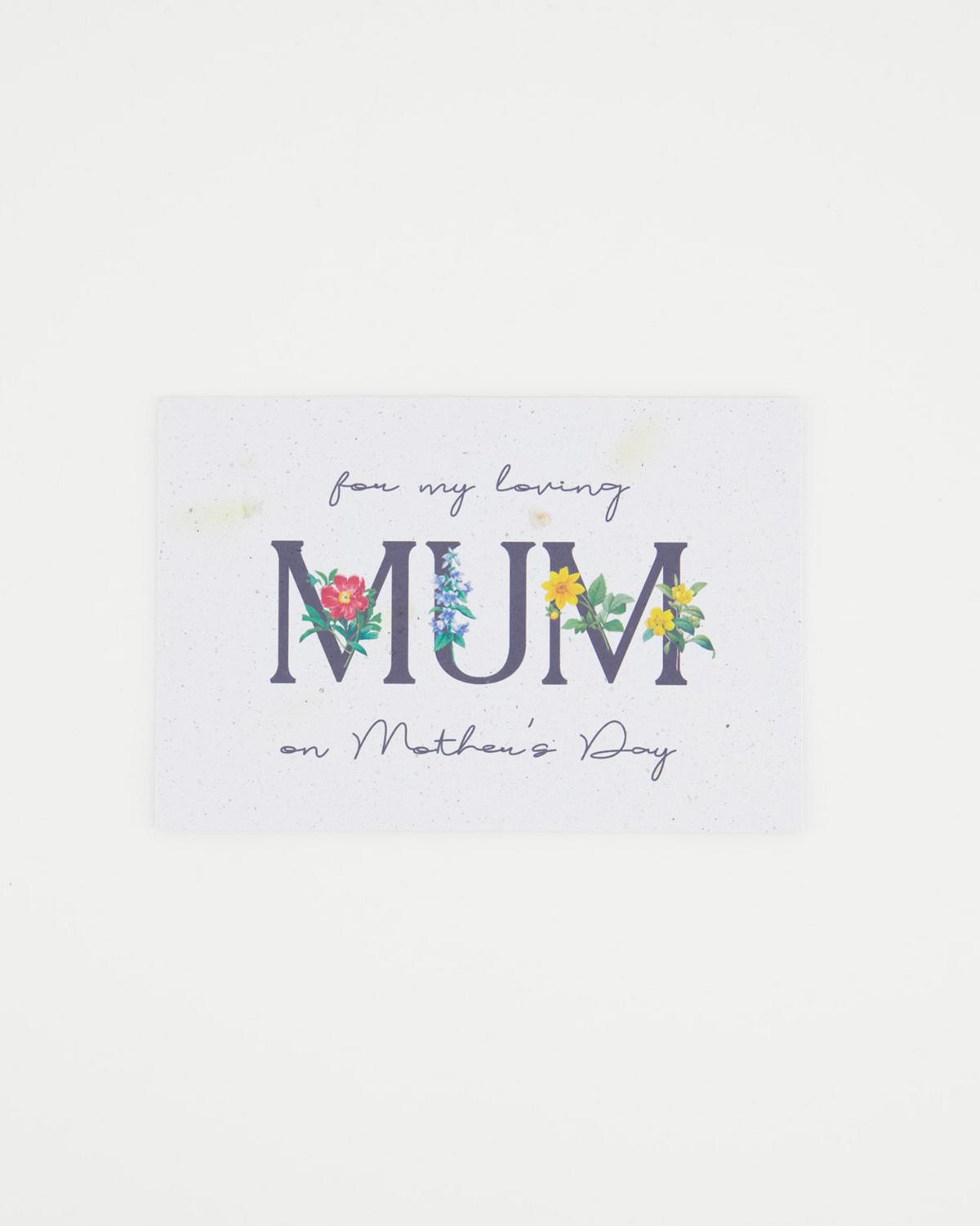 Growing Paper Mum Card -  Assorted