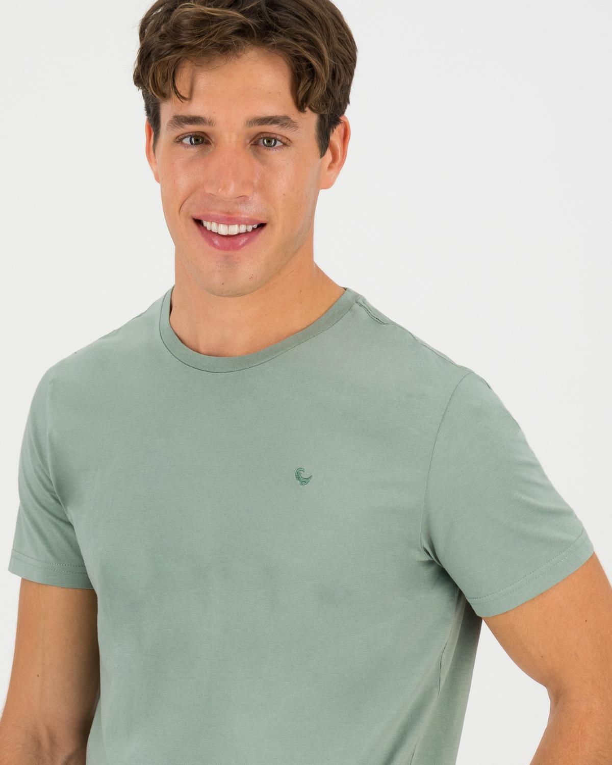 Old Khaki Men's Nick Standard Fit T-Shirt -  Sage