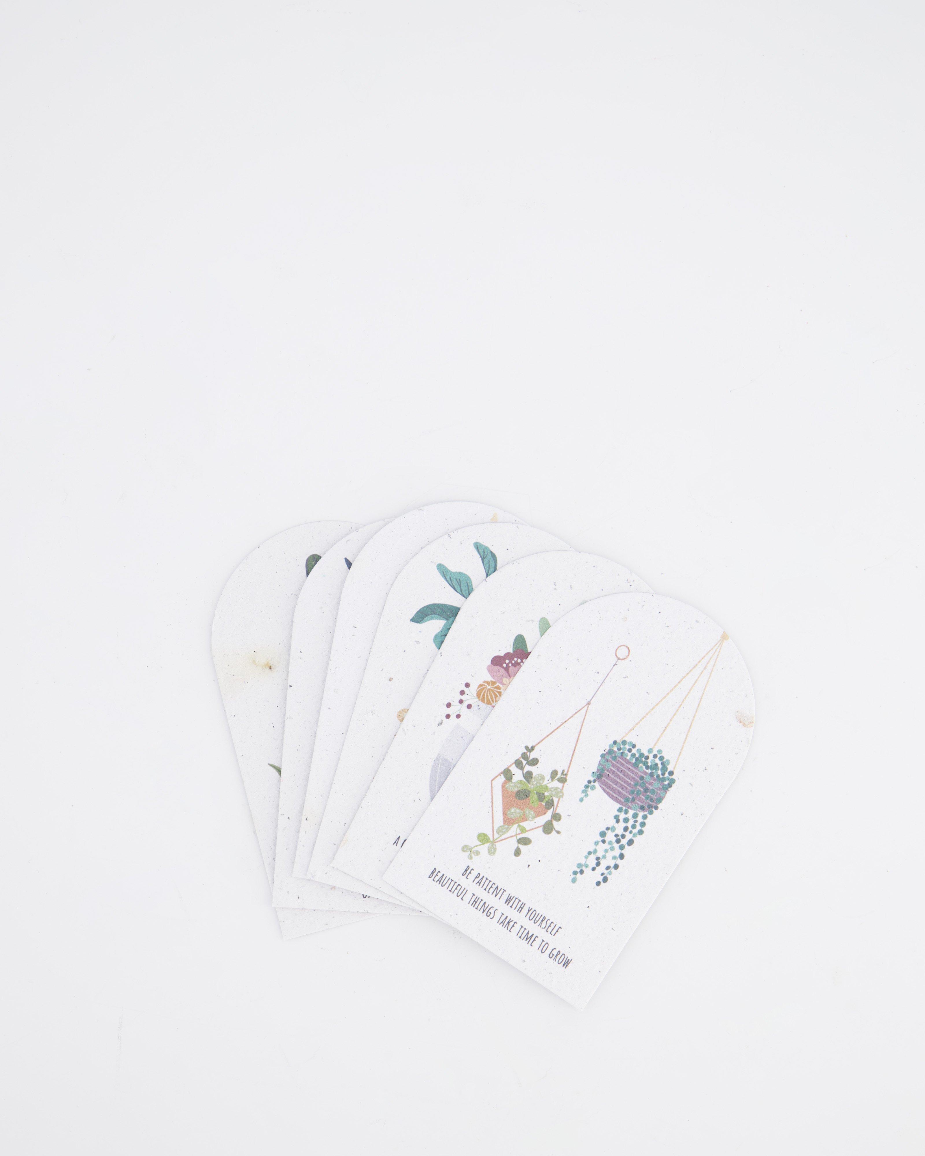 Affirmation Cards -  Assorted