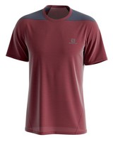 Salomon Men’s Outline T-Shirt -  burgundy