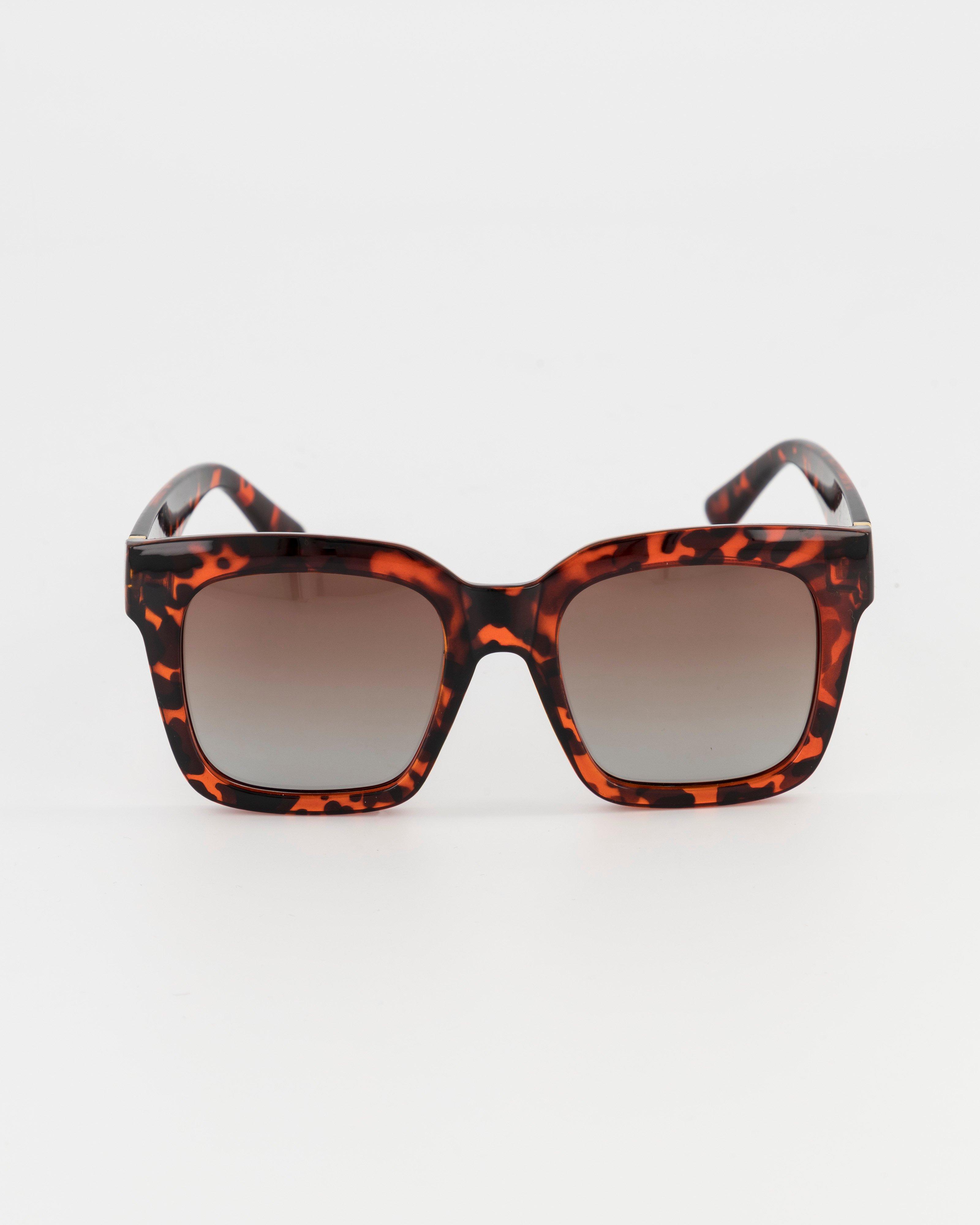Rare Earth Women’s Cass Bold Frame Sunglasses -  Brown