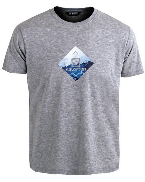 Salomon Men's Diamond T-Shirt -  grey