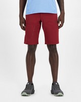 Salomon Men's Wayfarer Shorts -  burgundy