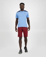 Salomon Men's Wayfarer Shorts -  burgundy