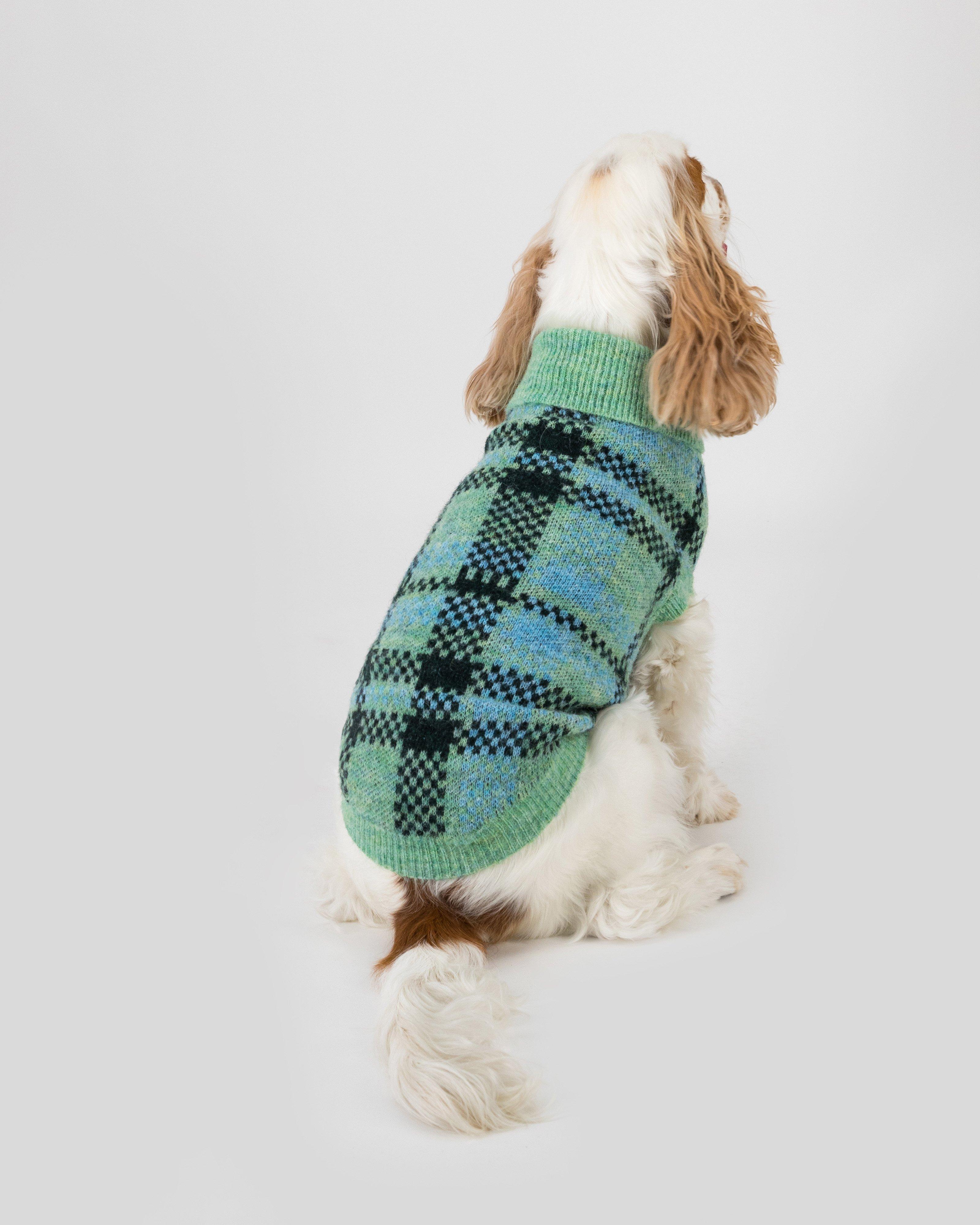 Poet dog outlet sweater