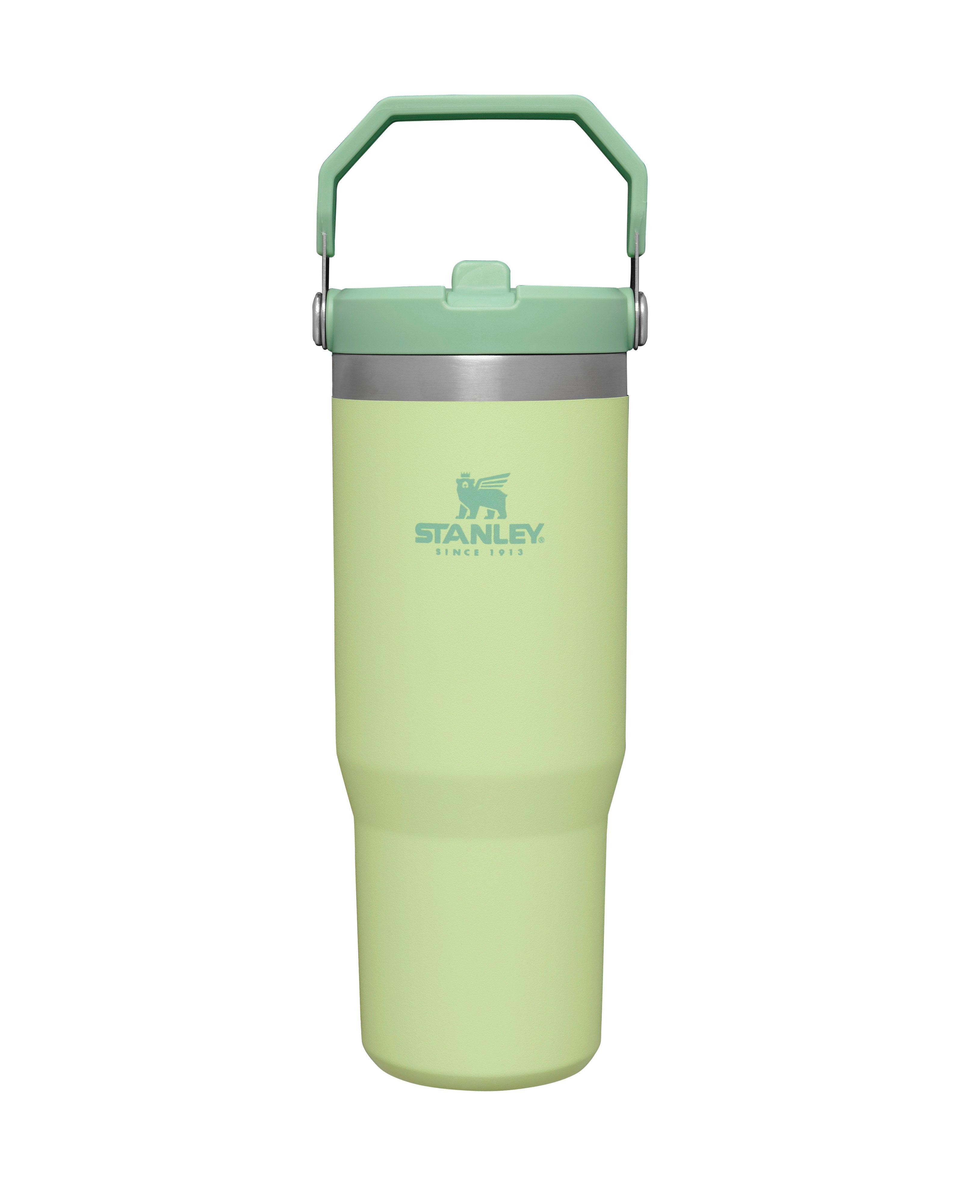 Stanley IceFlow Flip Straw Tumbler Cape Union Mart