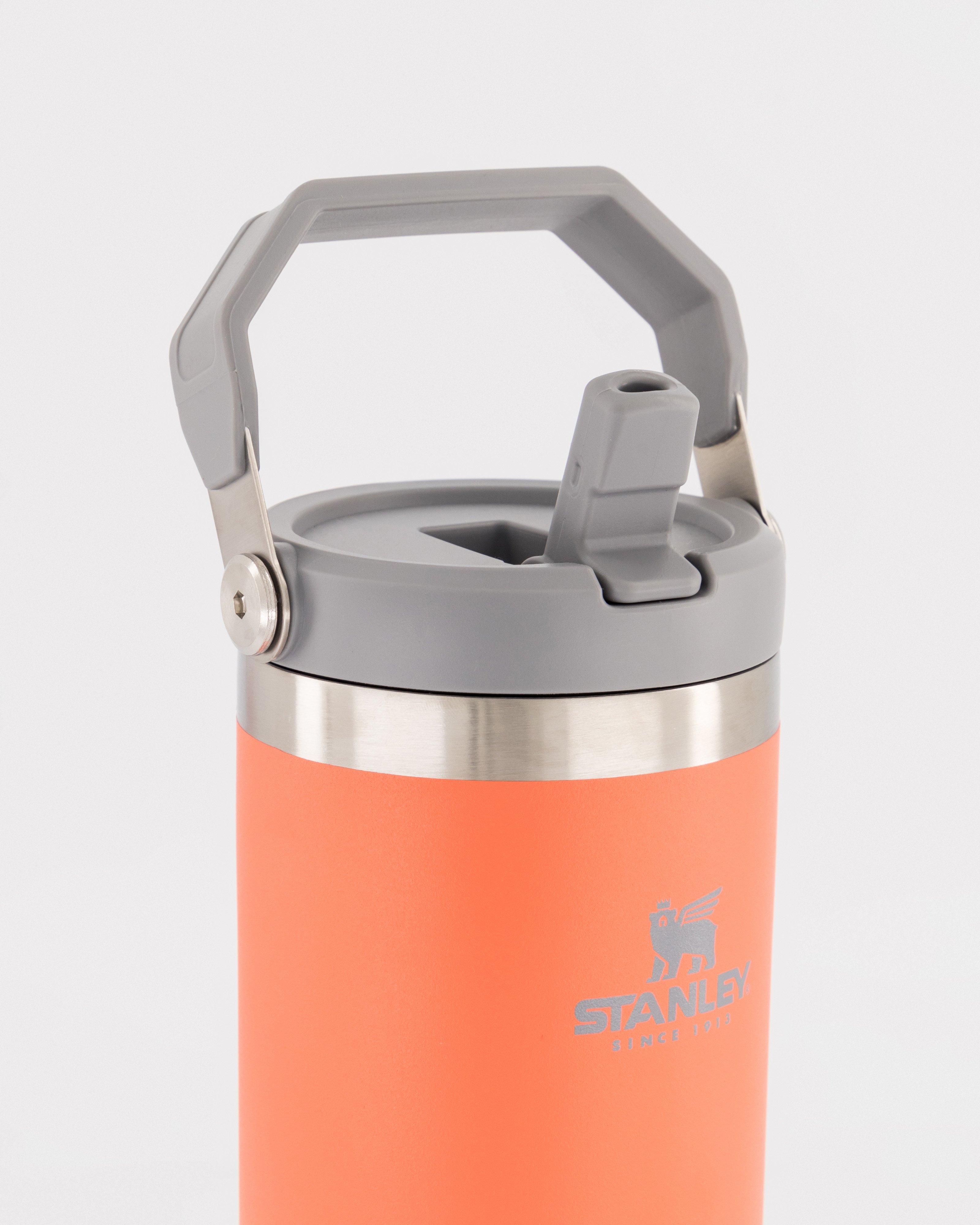 Stanley IceFlow Flip Straw Tumbler -  Orange