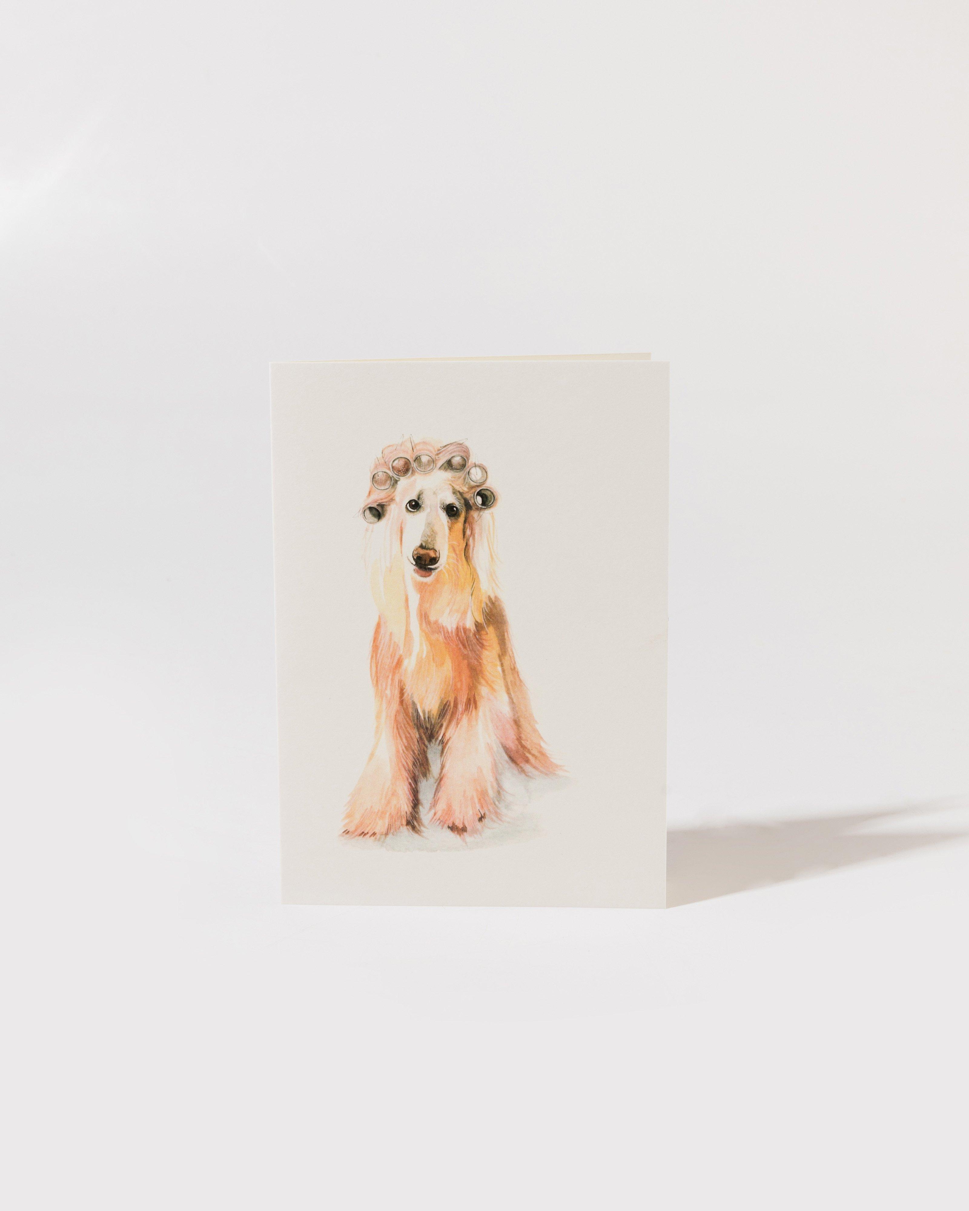 Hand-Painted Afghan Hound Card -  Assorted