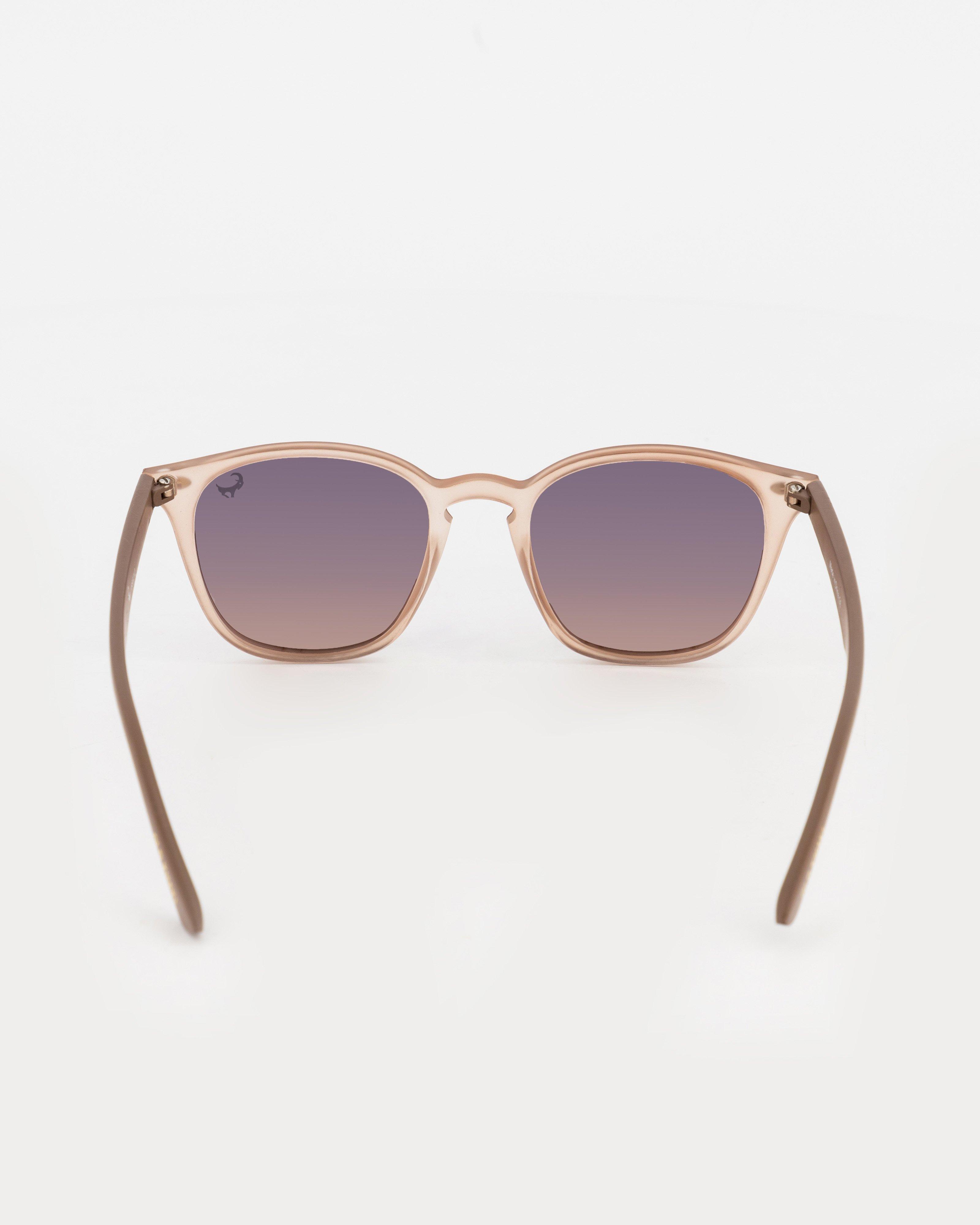 Unisex Wayfarer Sunglasses -  Stone