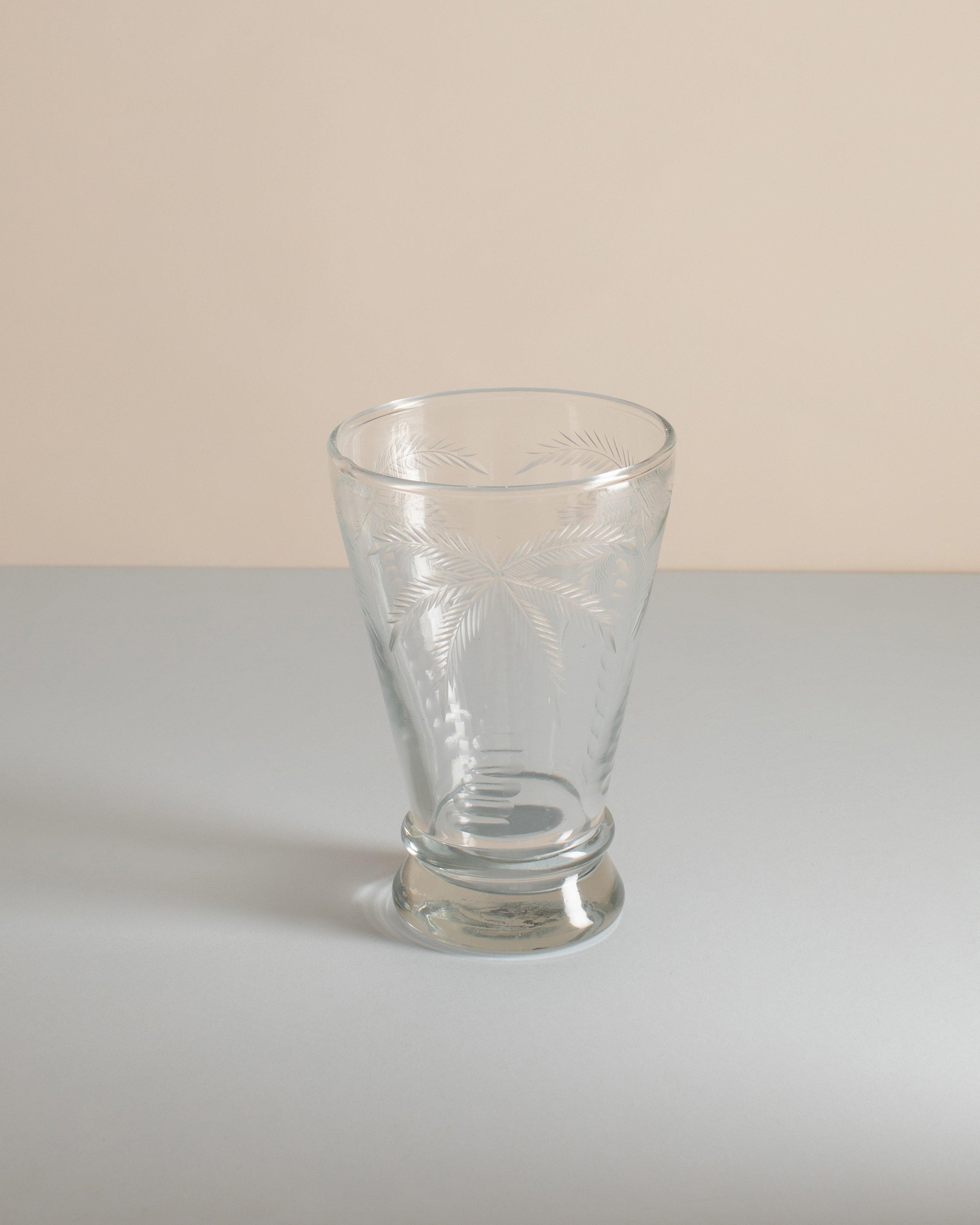 Palm Tall Tumbler -  No Colour