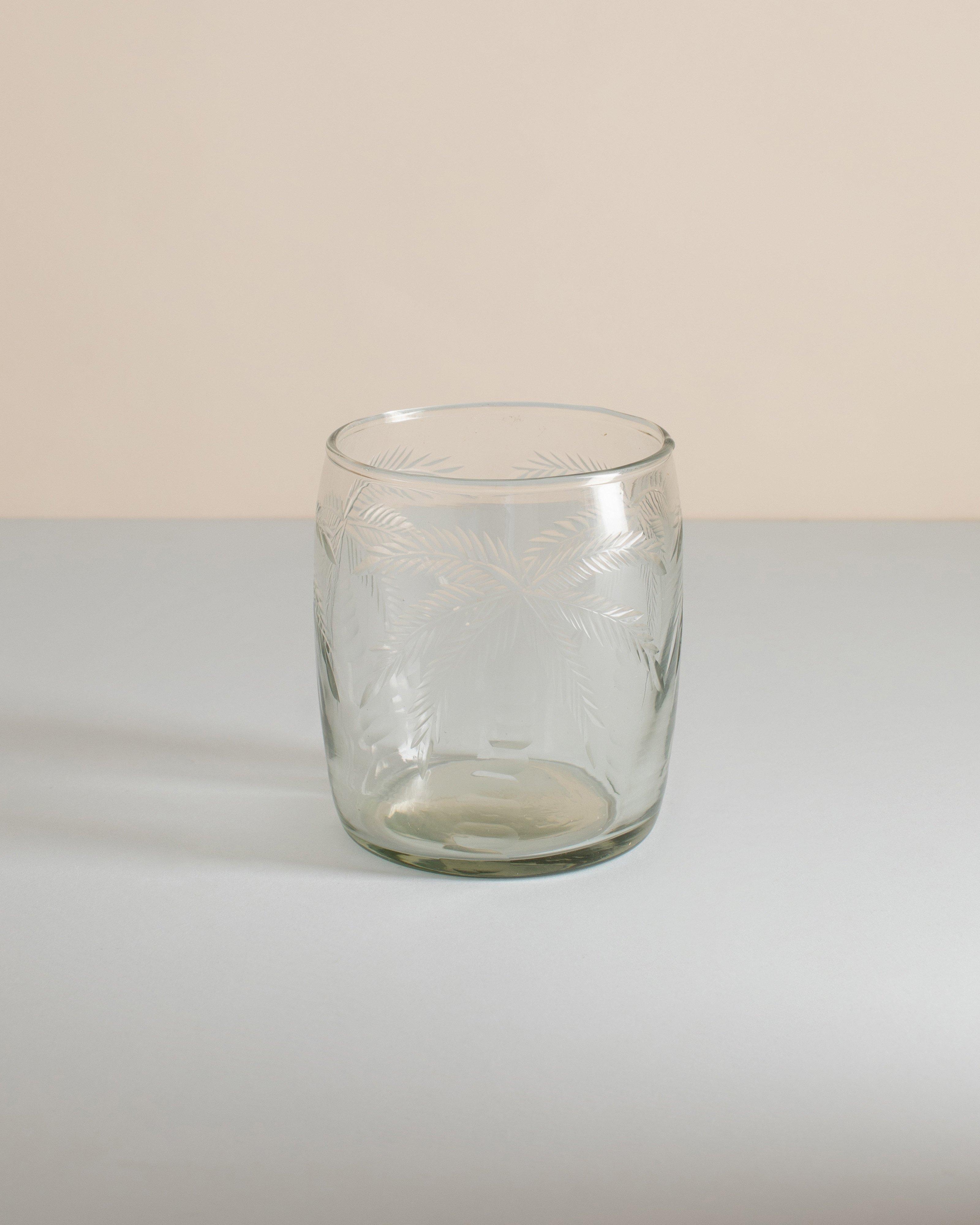 Palm Short Tumbler -  No Colour