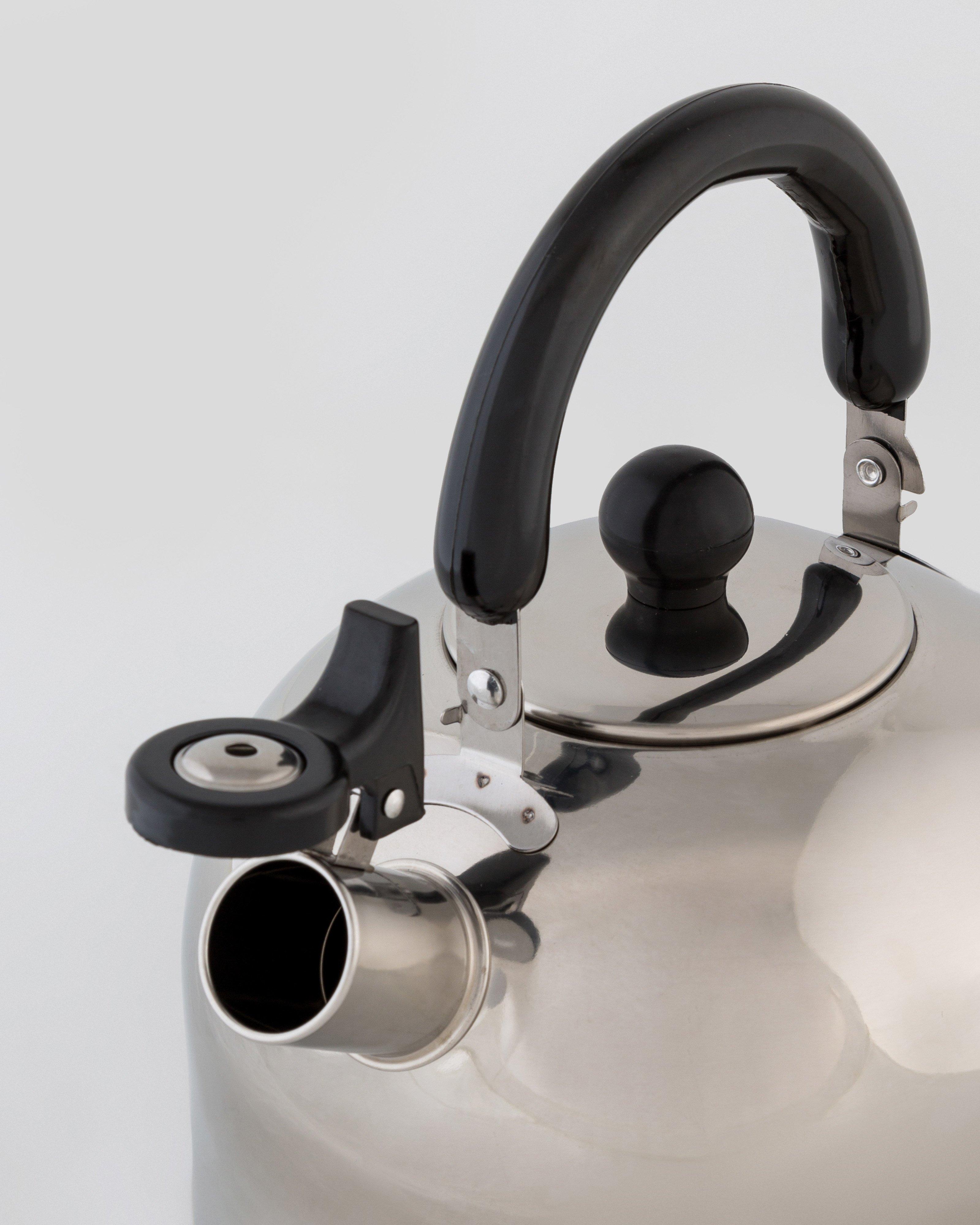 Lesiure Quip Stainless Steel 3L Whistling Kettle -  Silver