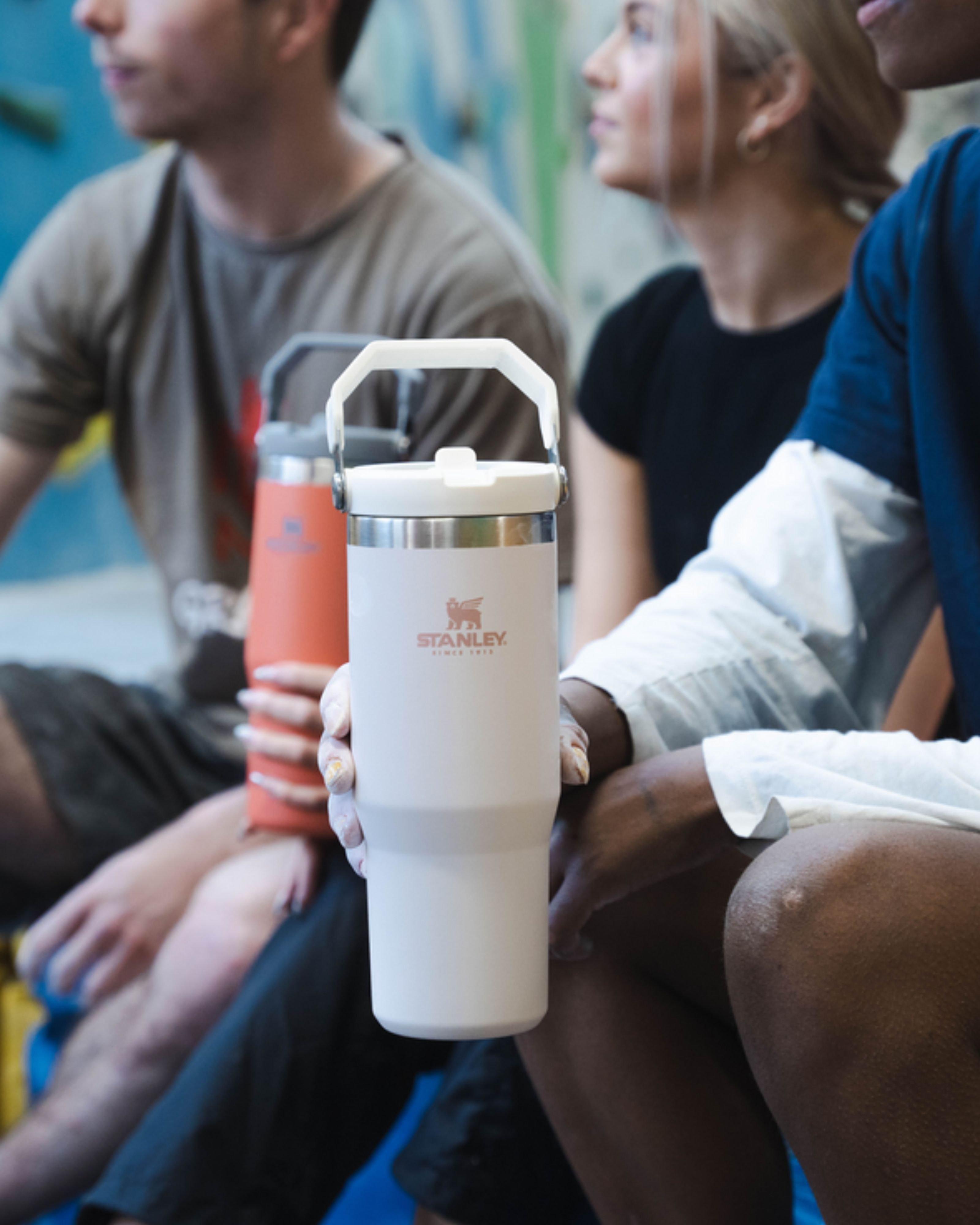 Stanley Ice Flow Flip Straw Tumbler -  Pink