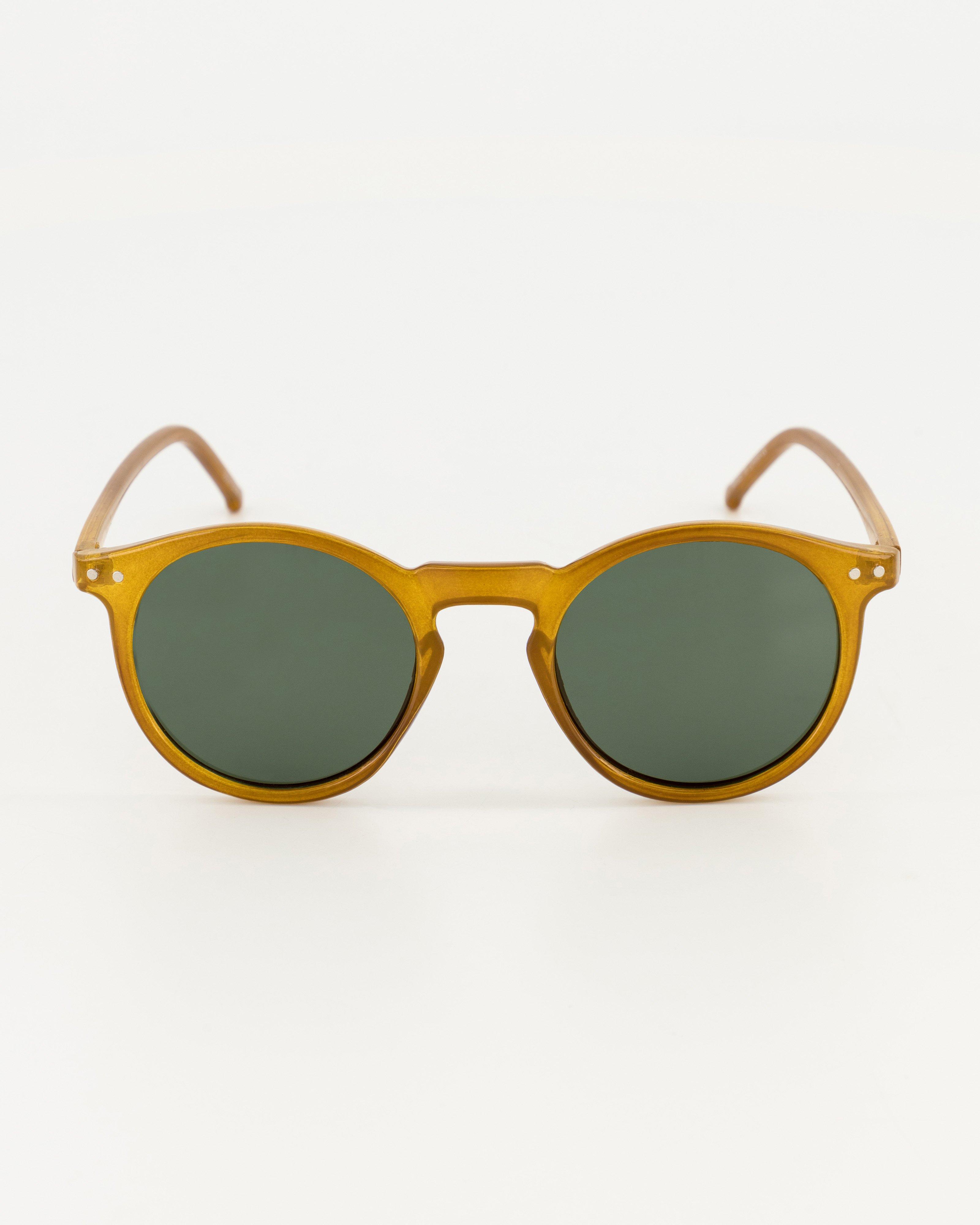 Rare Earth Women’s Becca Sunglasses  -  Camel