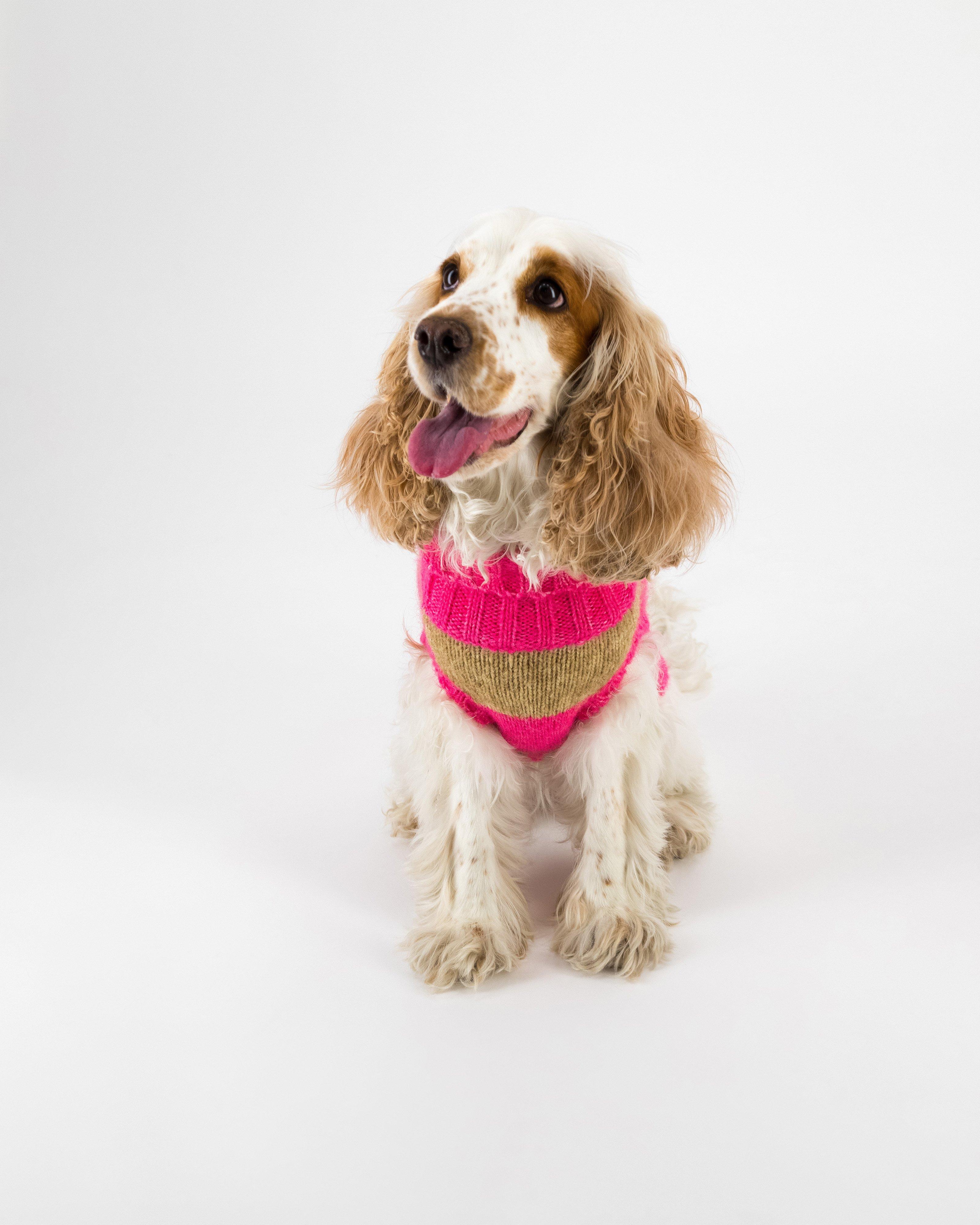 Ahrin Dog Jumper -  Pink