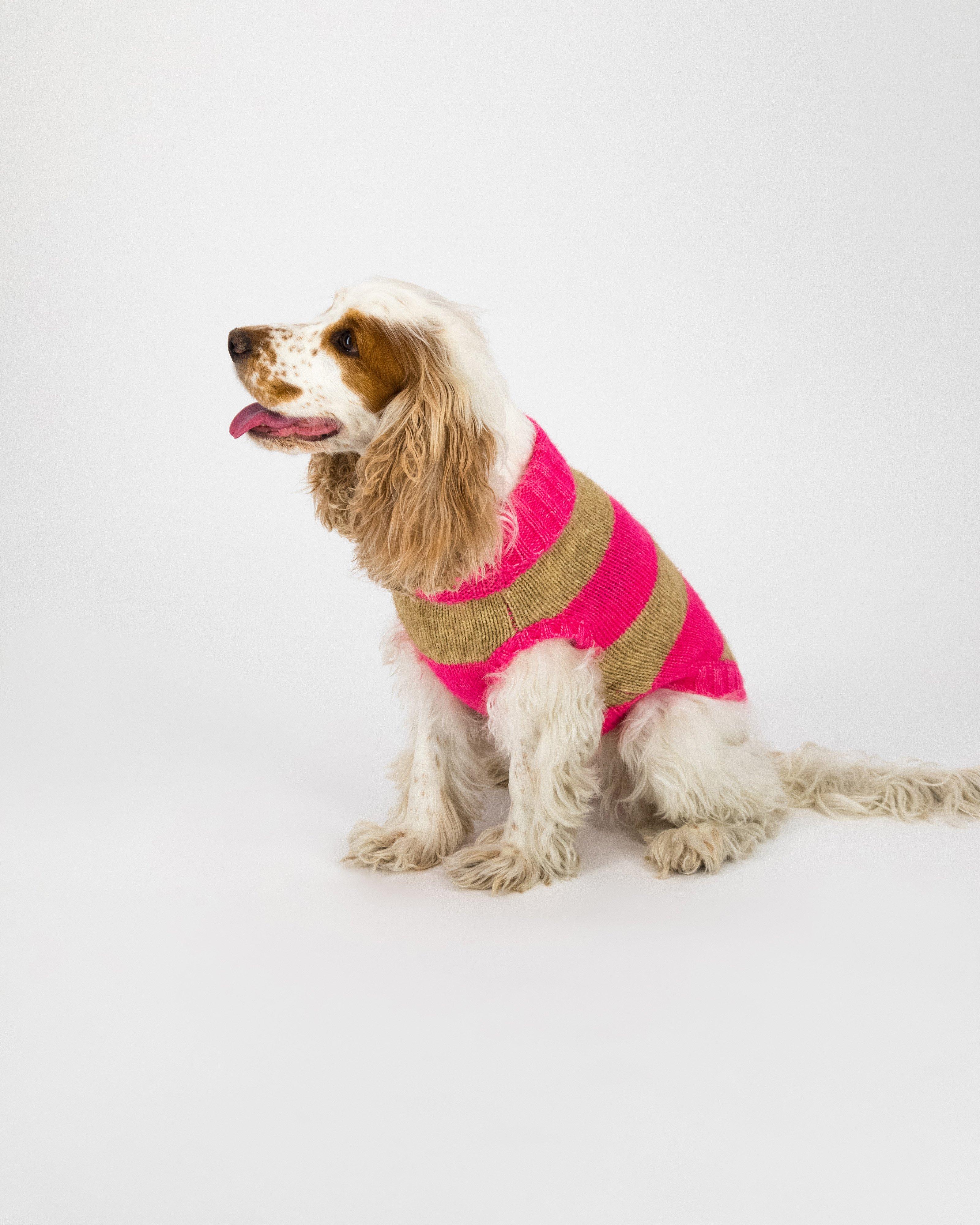Ahrin Dog Jumper -  Pink