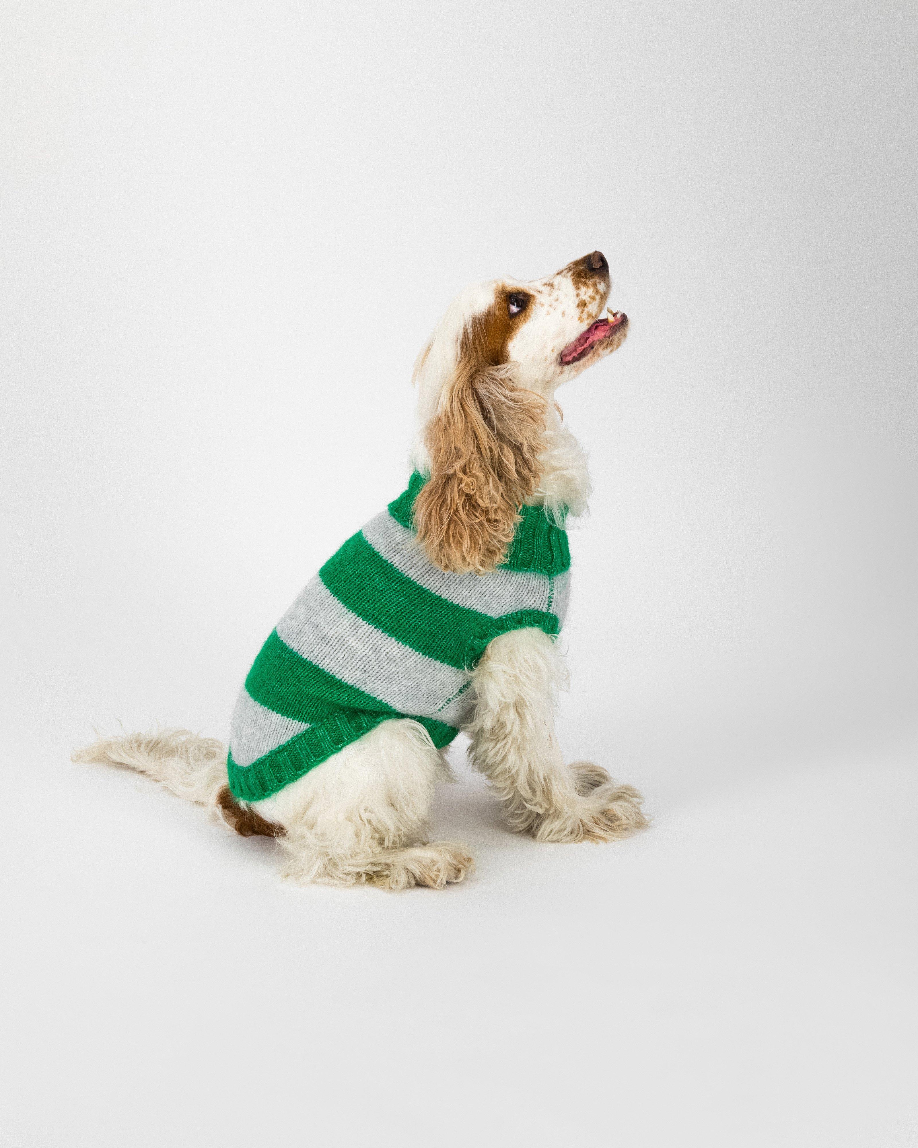 Ahrin Dog Jumper -  Green