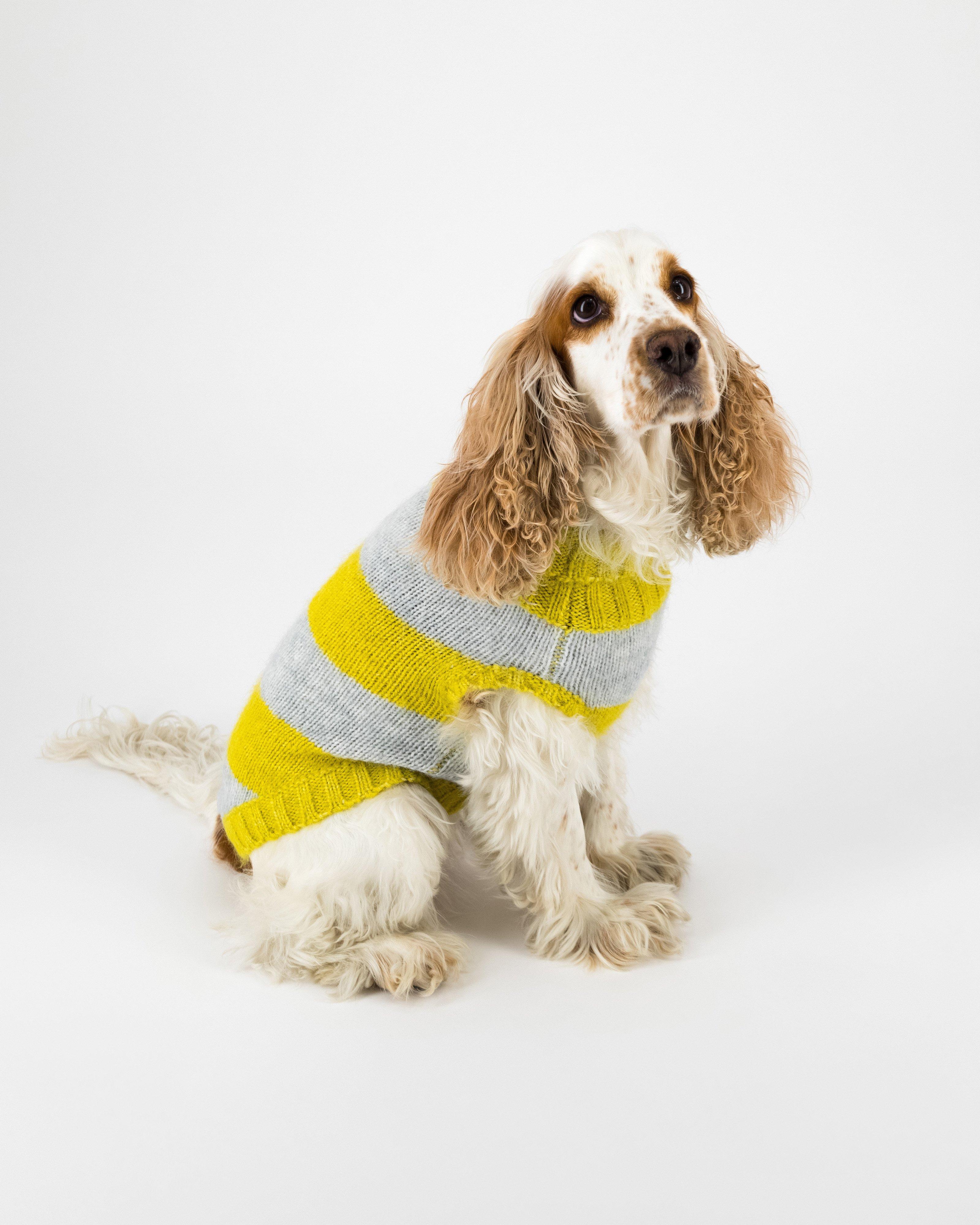 Ahrin Dog Jumper -  Yellow