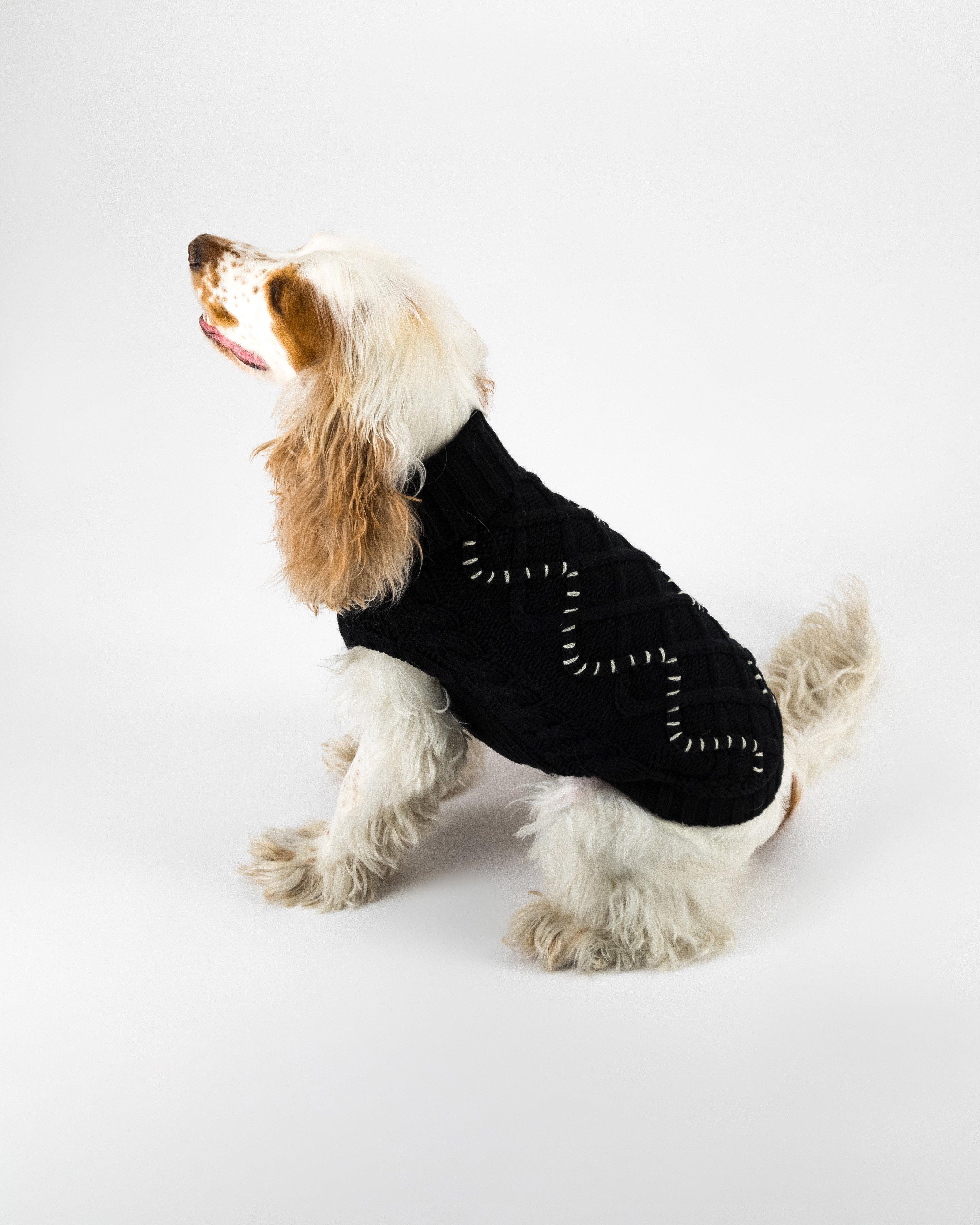 Rania Dog Jumper - Poetry Clothing Store