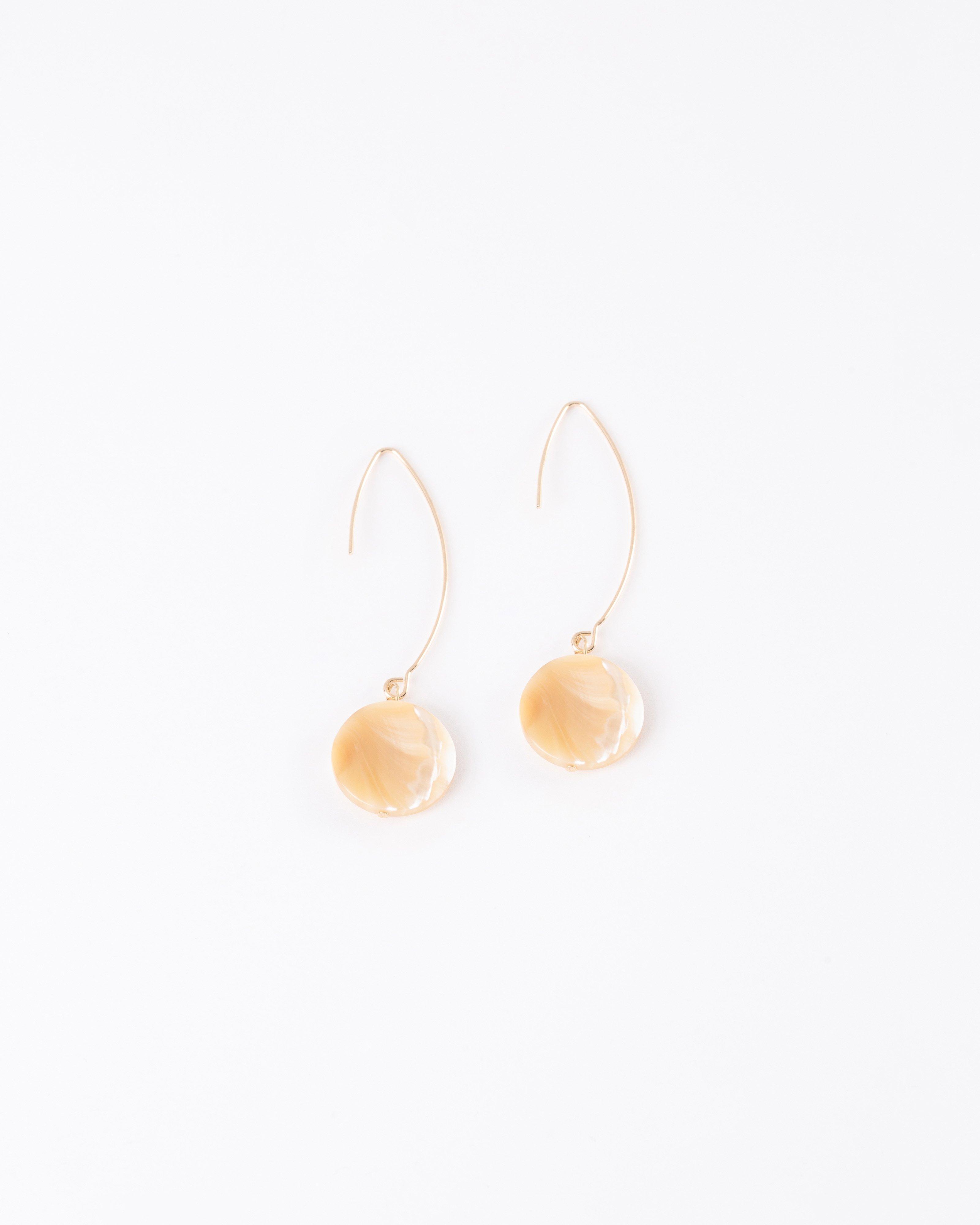 Circular Natural Stone & FIshhook Drop Earrings -  Stone