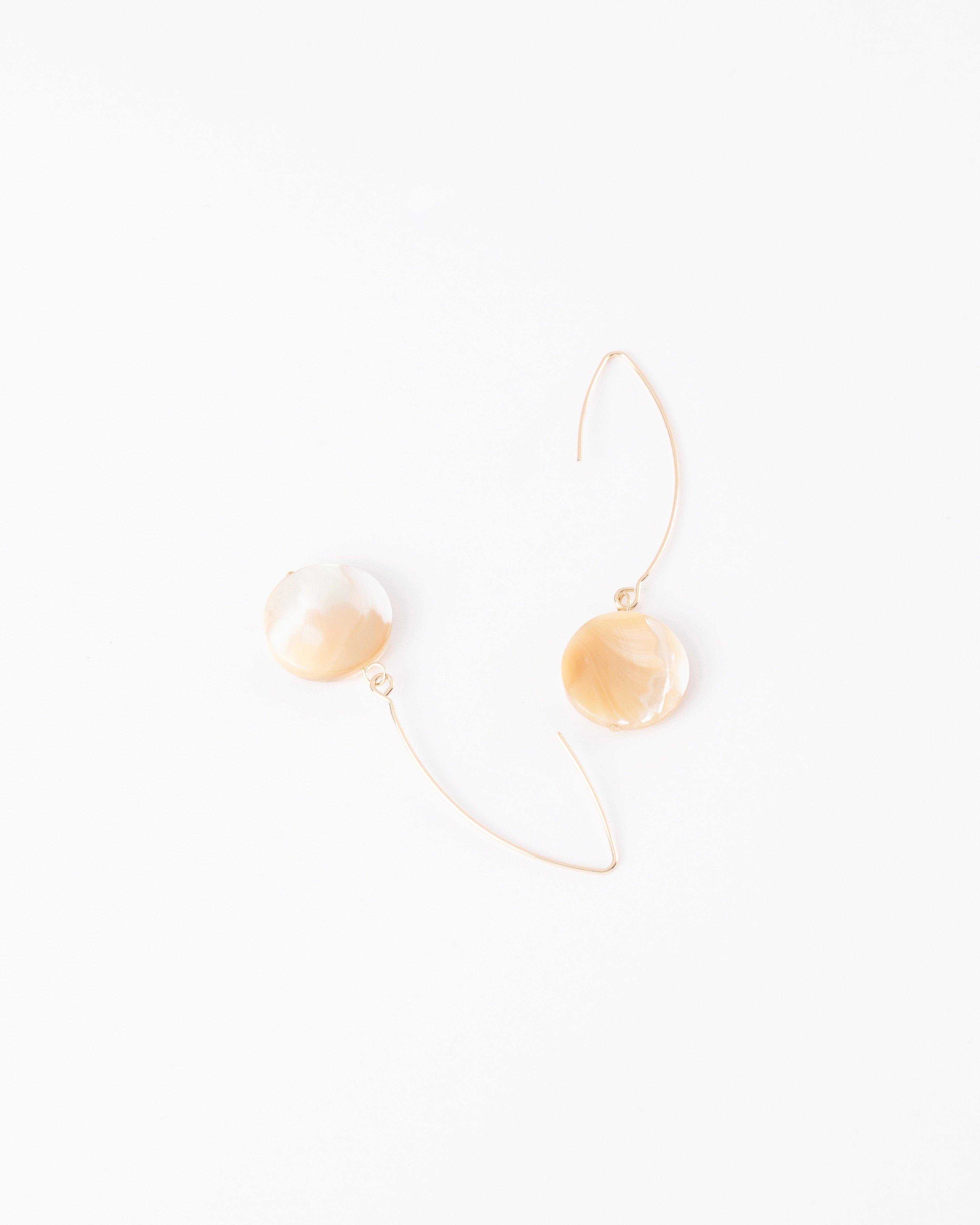 Circular Natural Stone & FIshhook Drop Earrings -  Stone