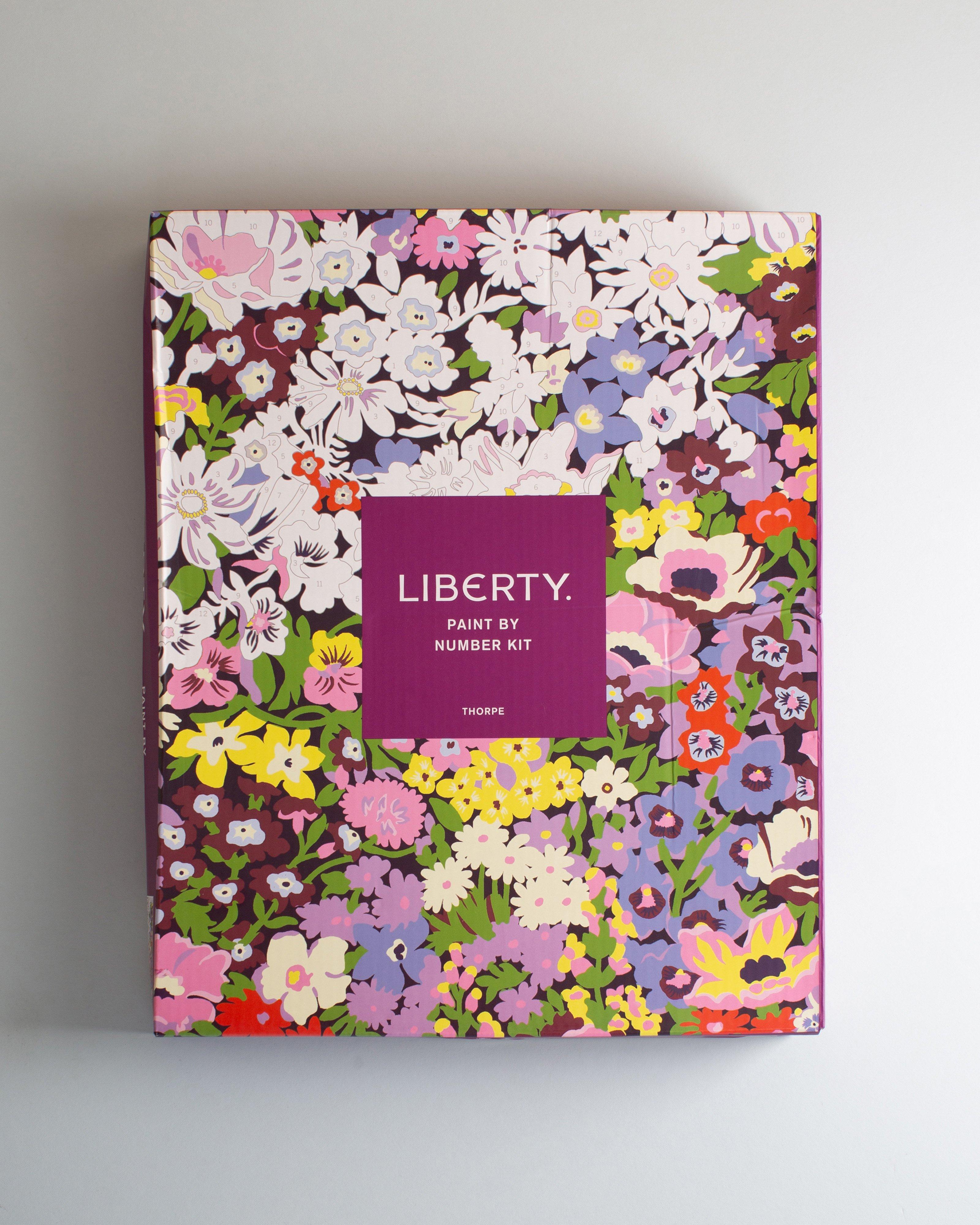 Liberty Thorpeness Paint By Number -  Assorted
