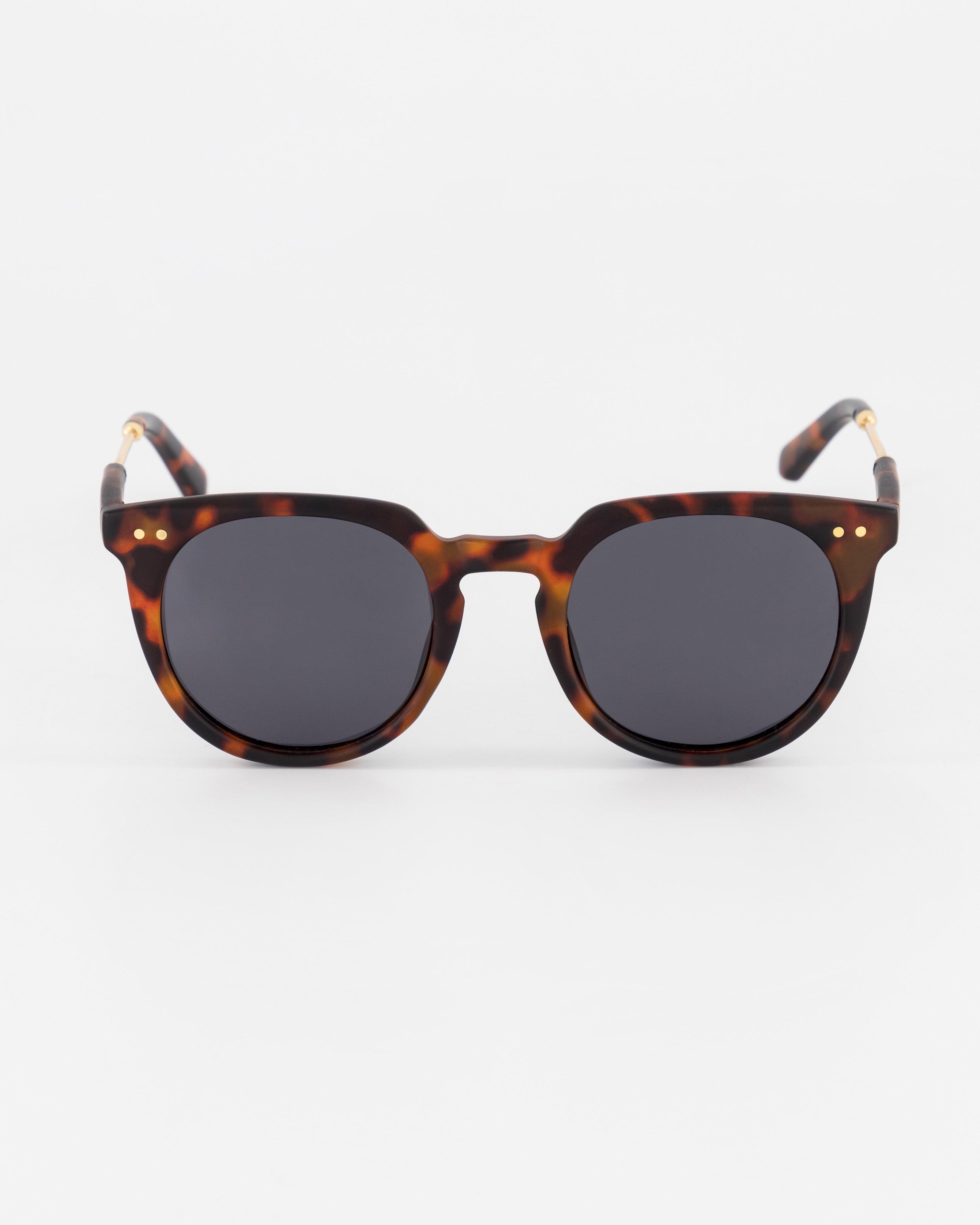 Rare Earth Women’s Nitara Sunglasses -  Brown