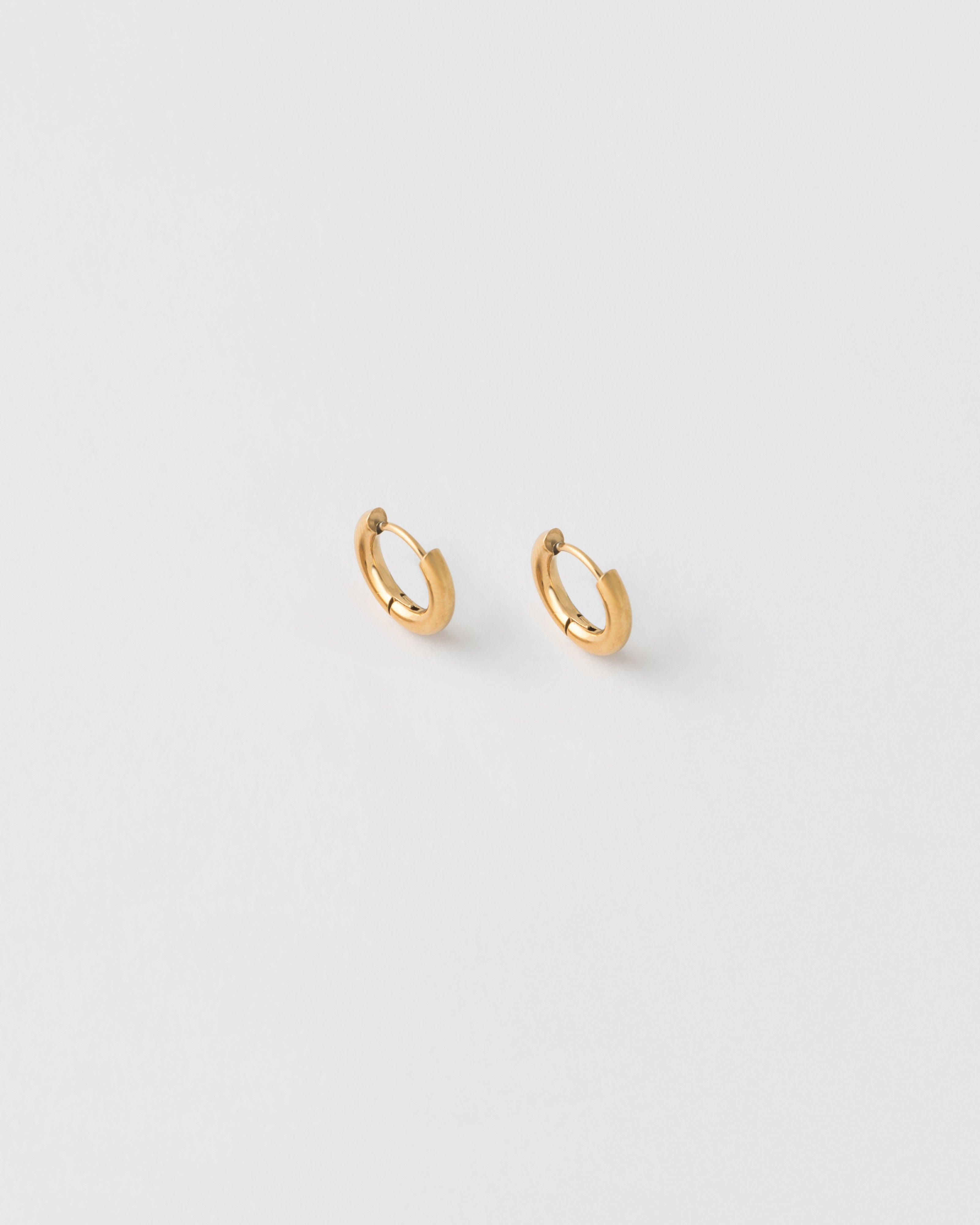 Stainless Steel Round Mini Hoop Earrings -  Gold