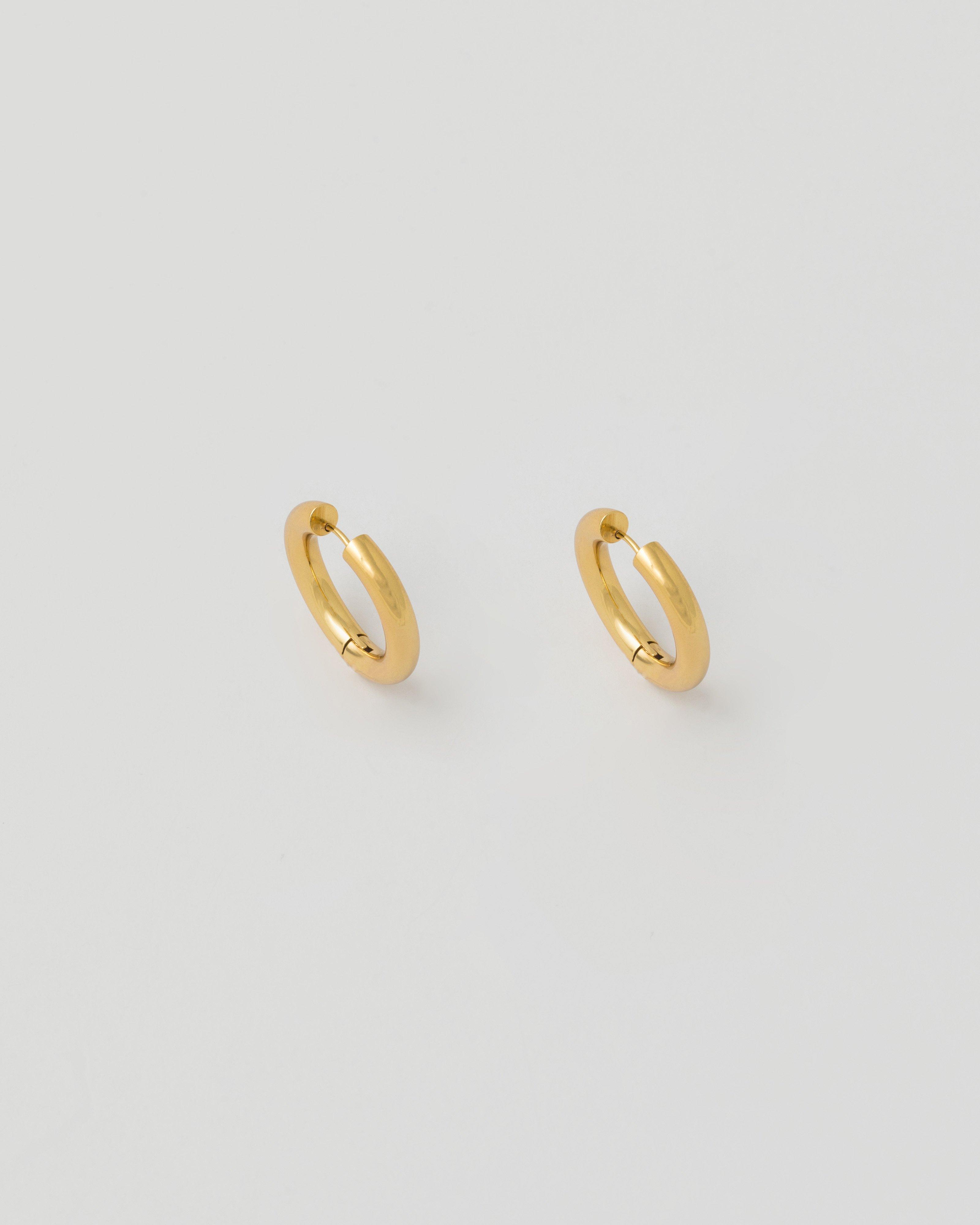 Stainless Steel Metal Hoop Earrings -  Gold