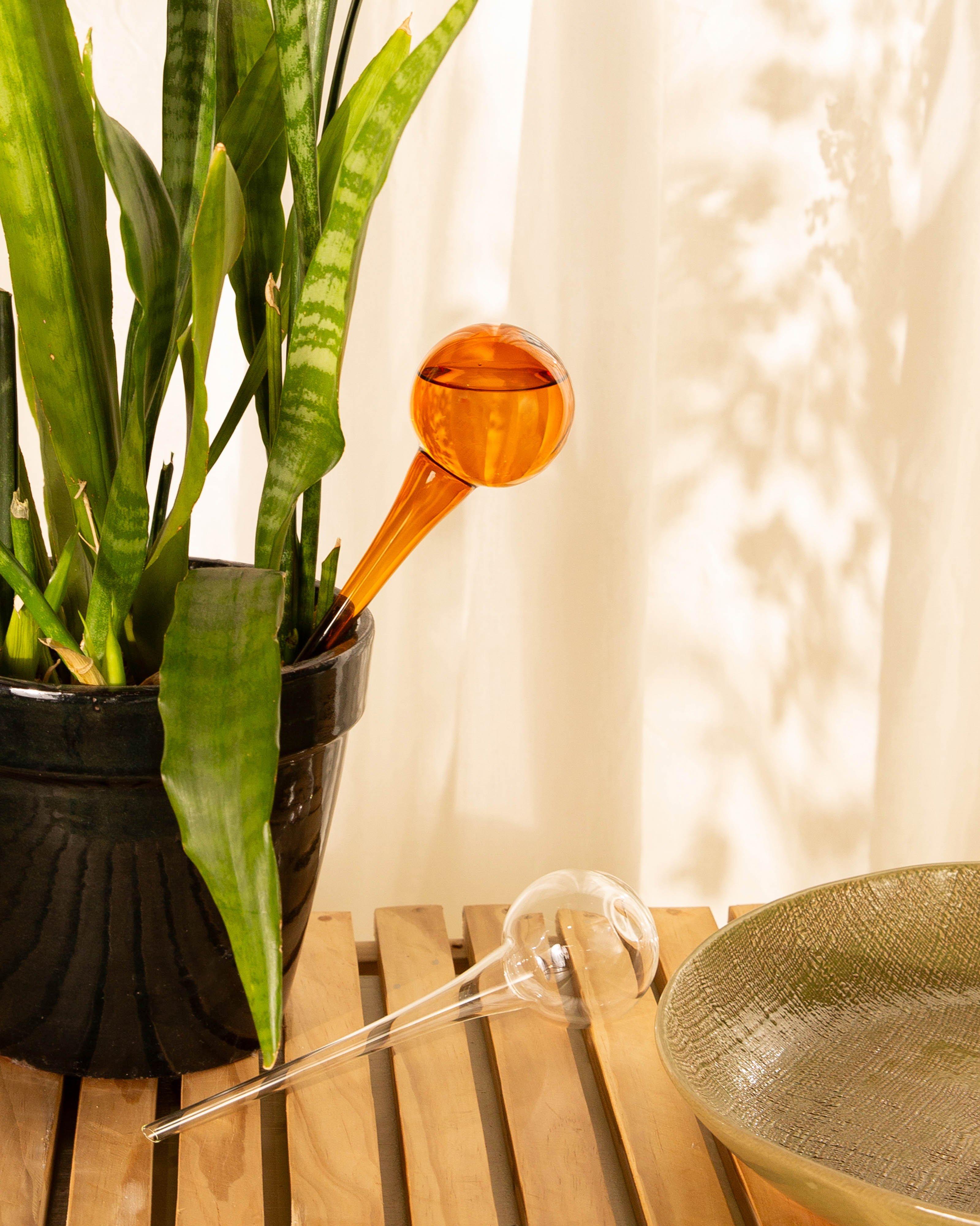 Amber Watering Globe -  Brown