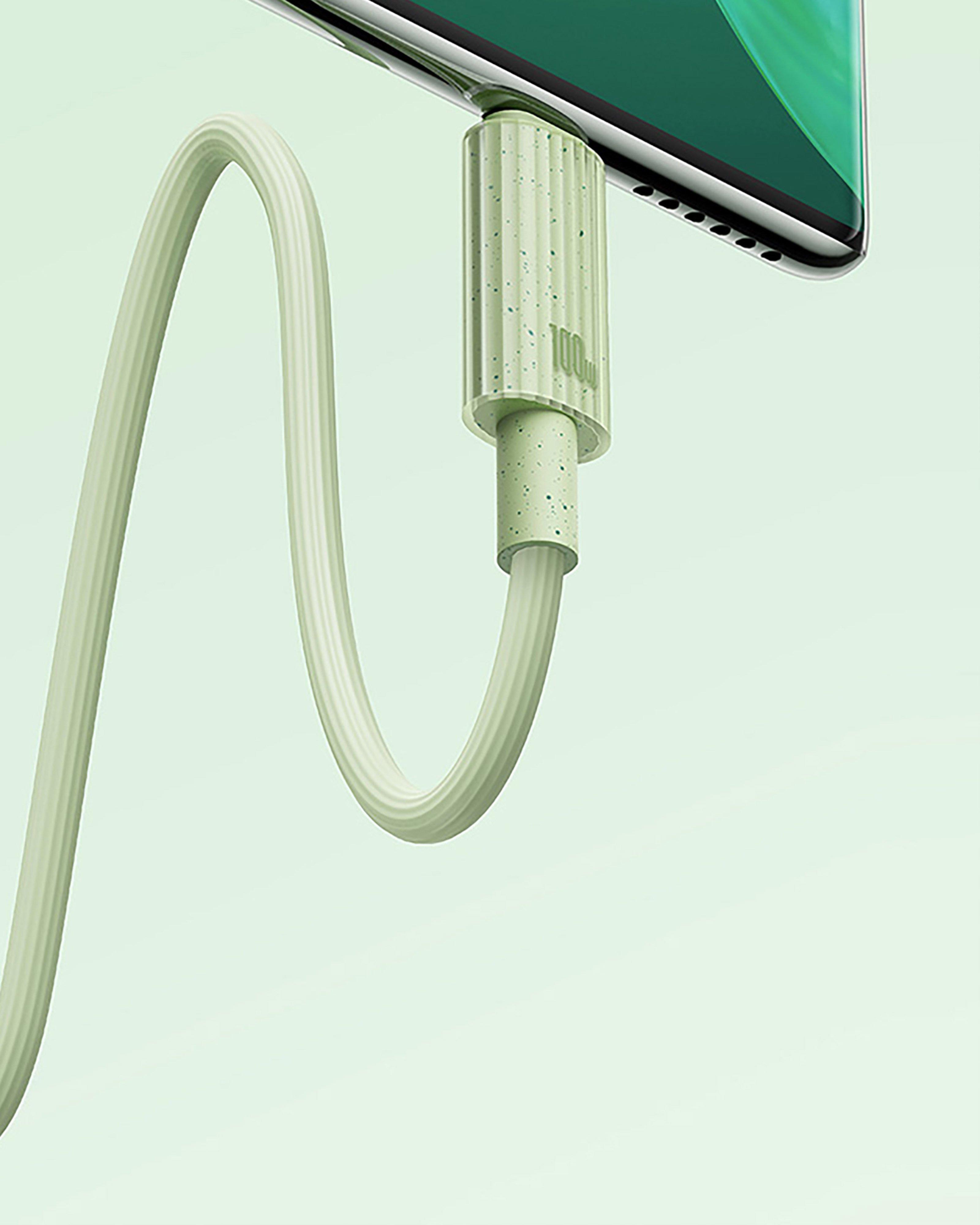 Baseus Habitat Series 2m Cable (Type-C to Type-C) -  Green