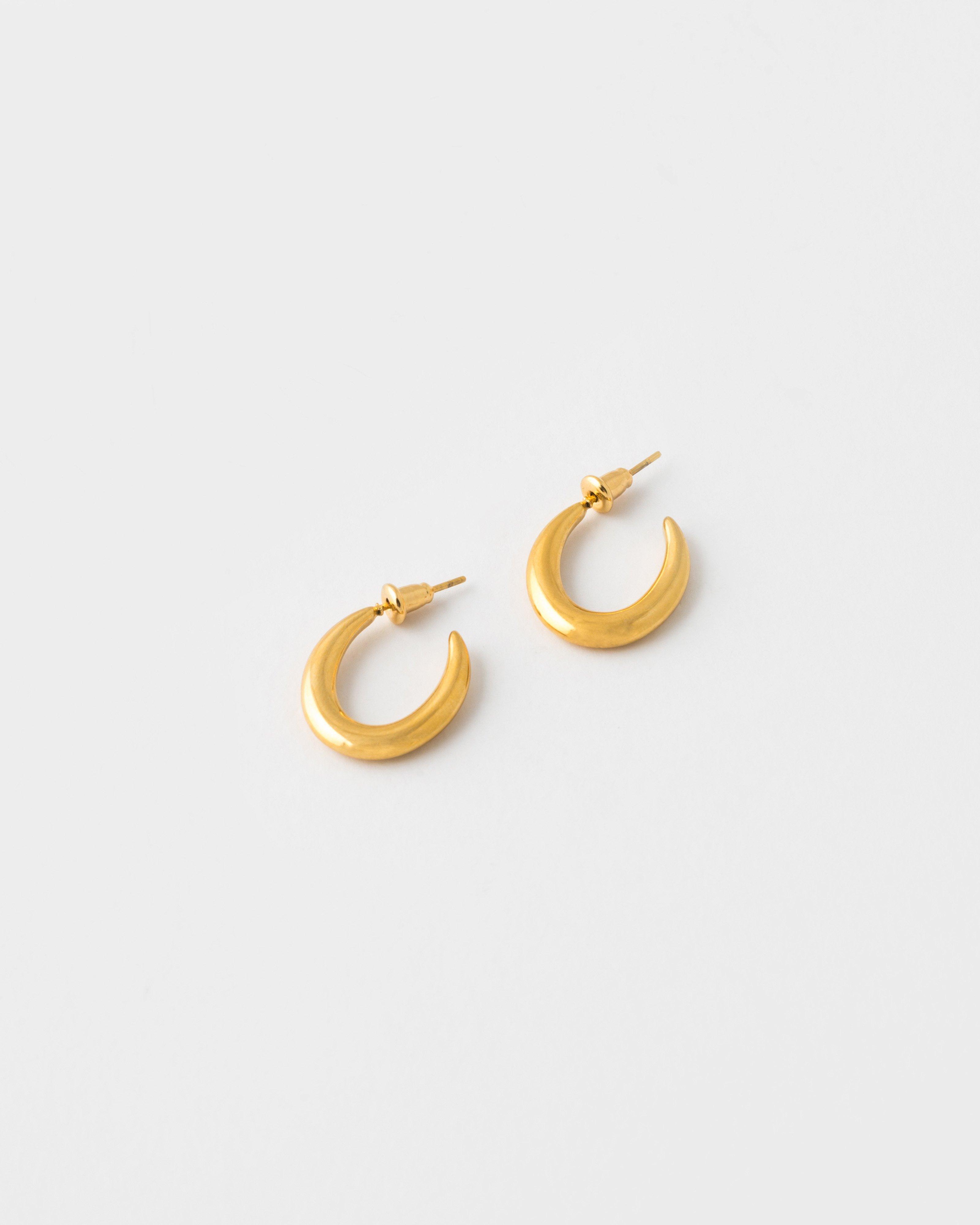 Stainless Steel Horseshoe Hoop Earrings -  Gold