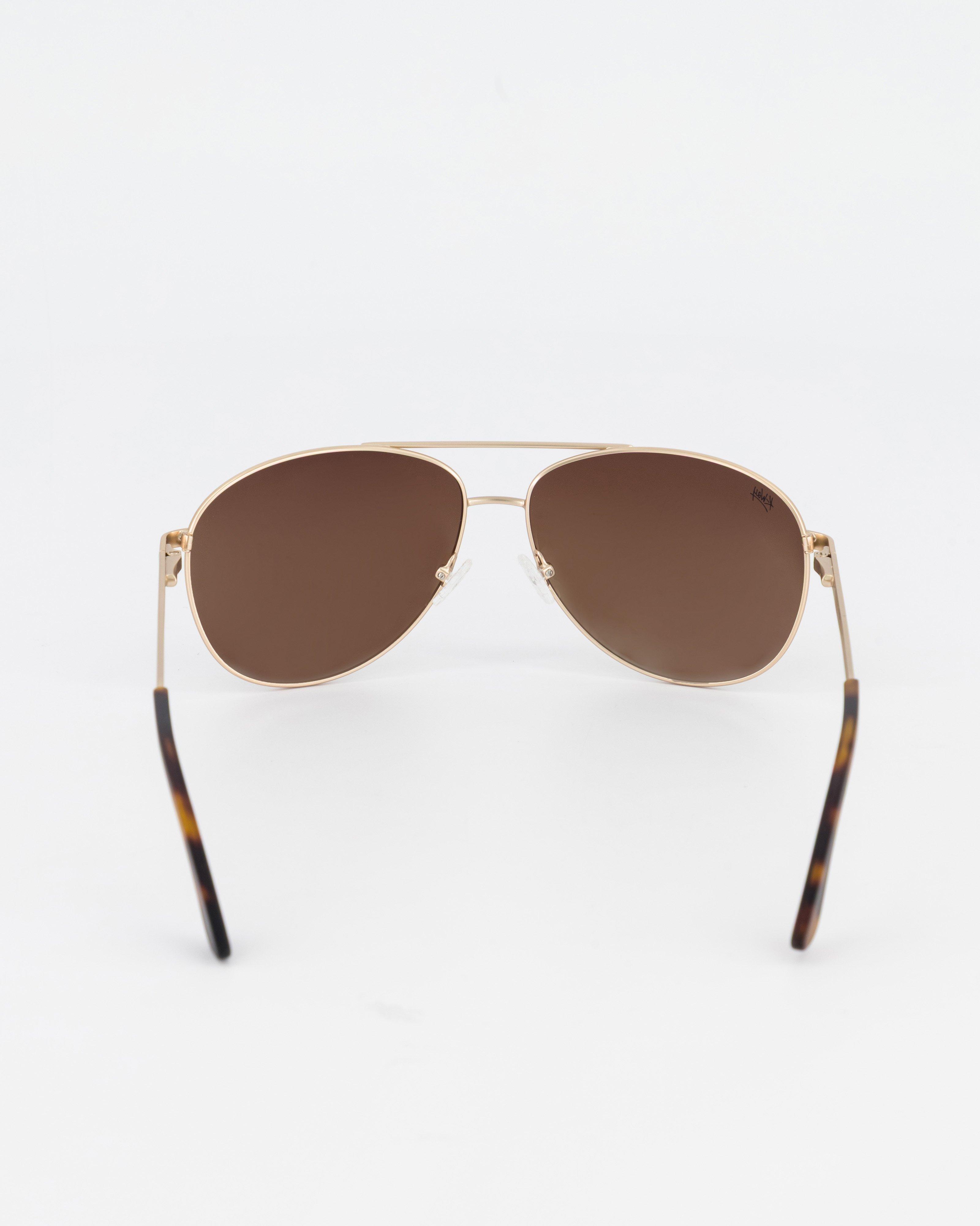 K-Way Theodore Classic Aviator Safari Sunglasses | Cape Union Mart
