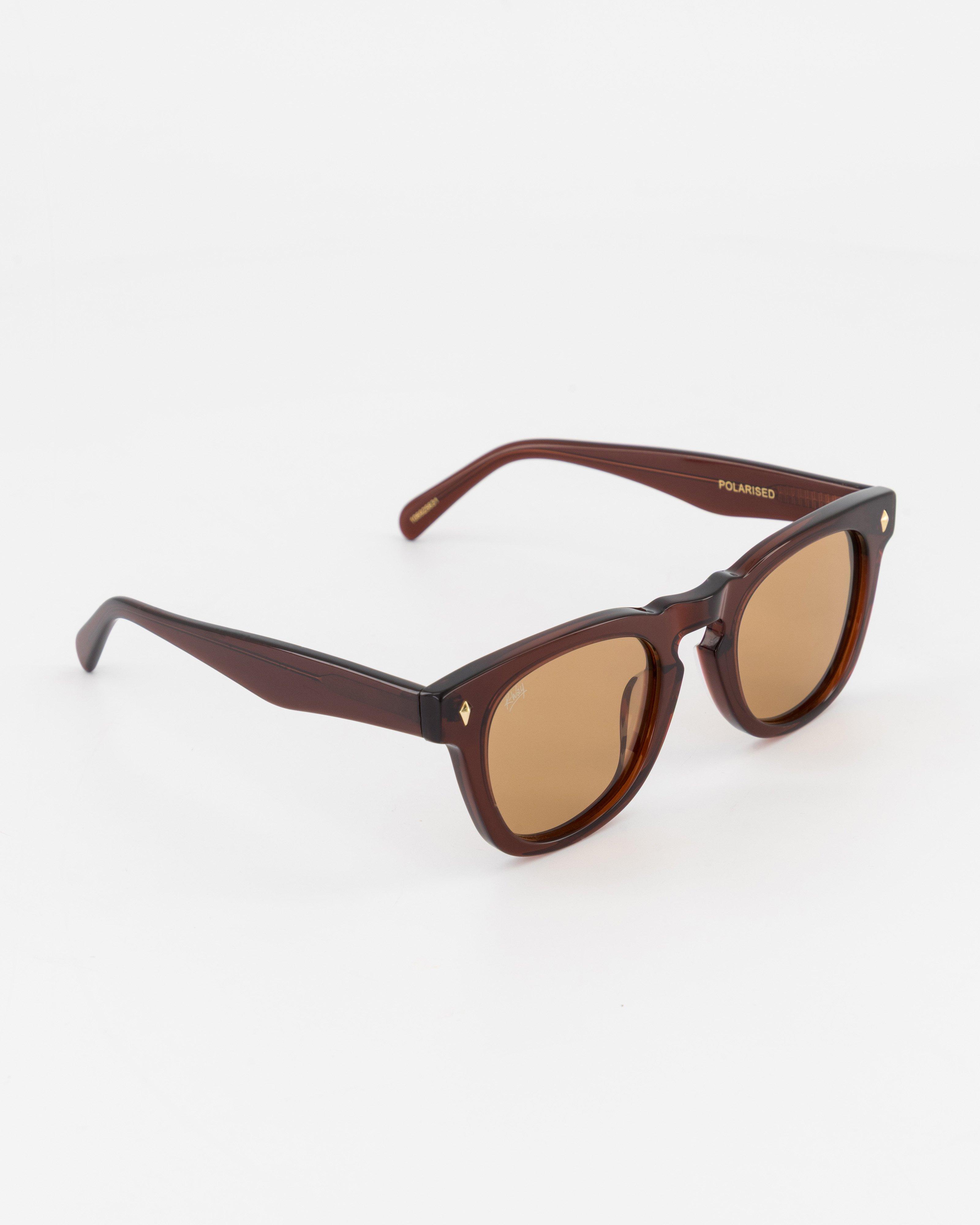 K-Way Spencer Round Frame Safari Sunglasses  -  Brown