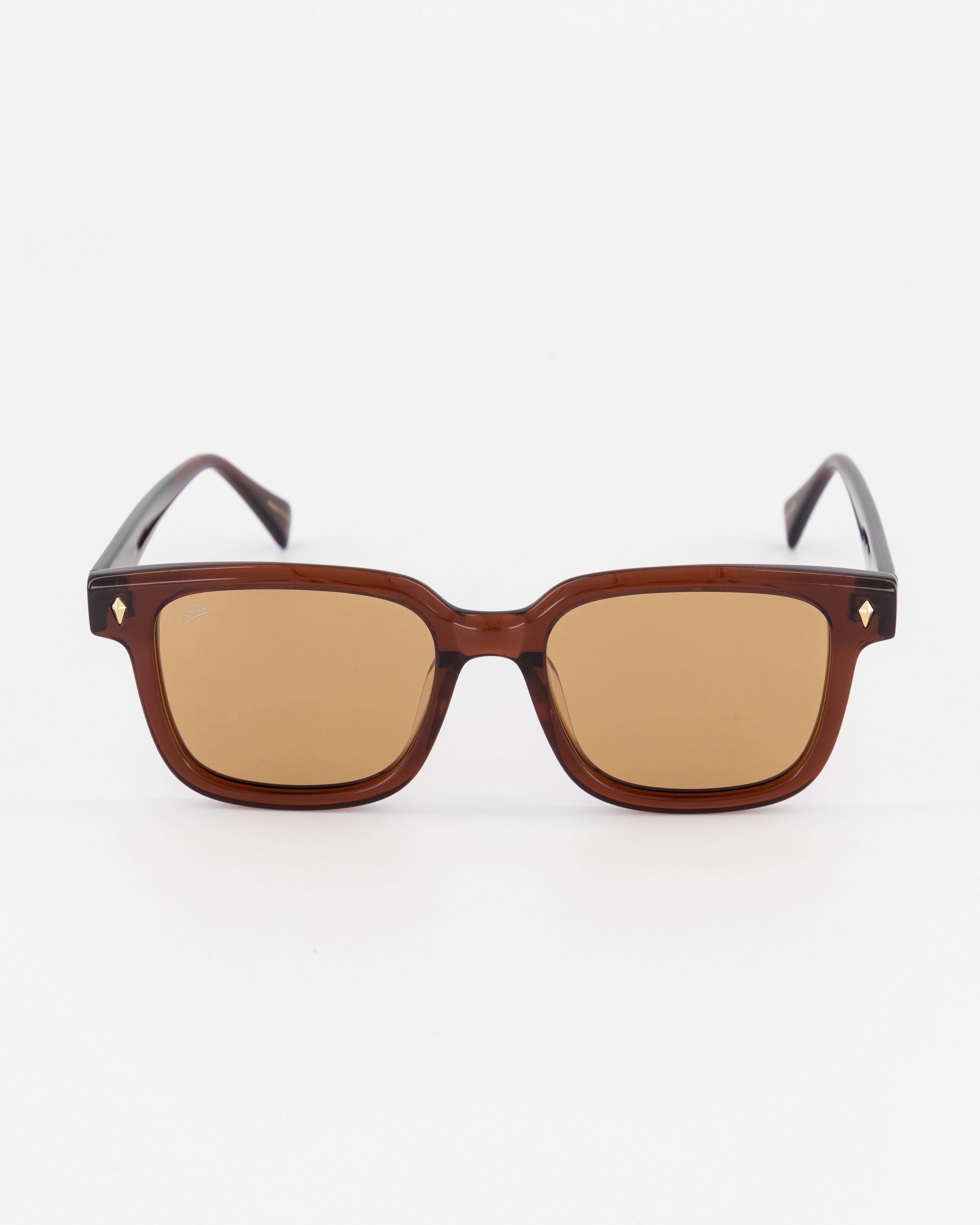 K-Way Winston Wayfarer Safari Sunglasses | Cape Union Mart
