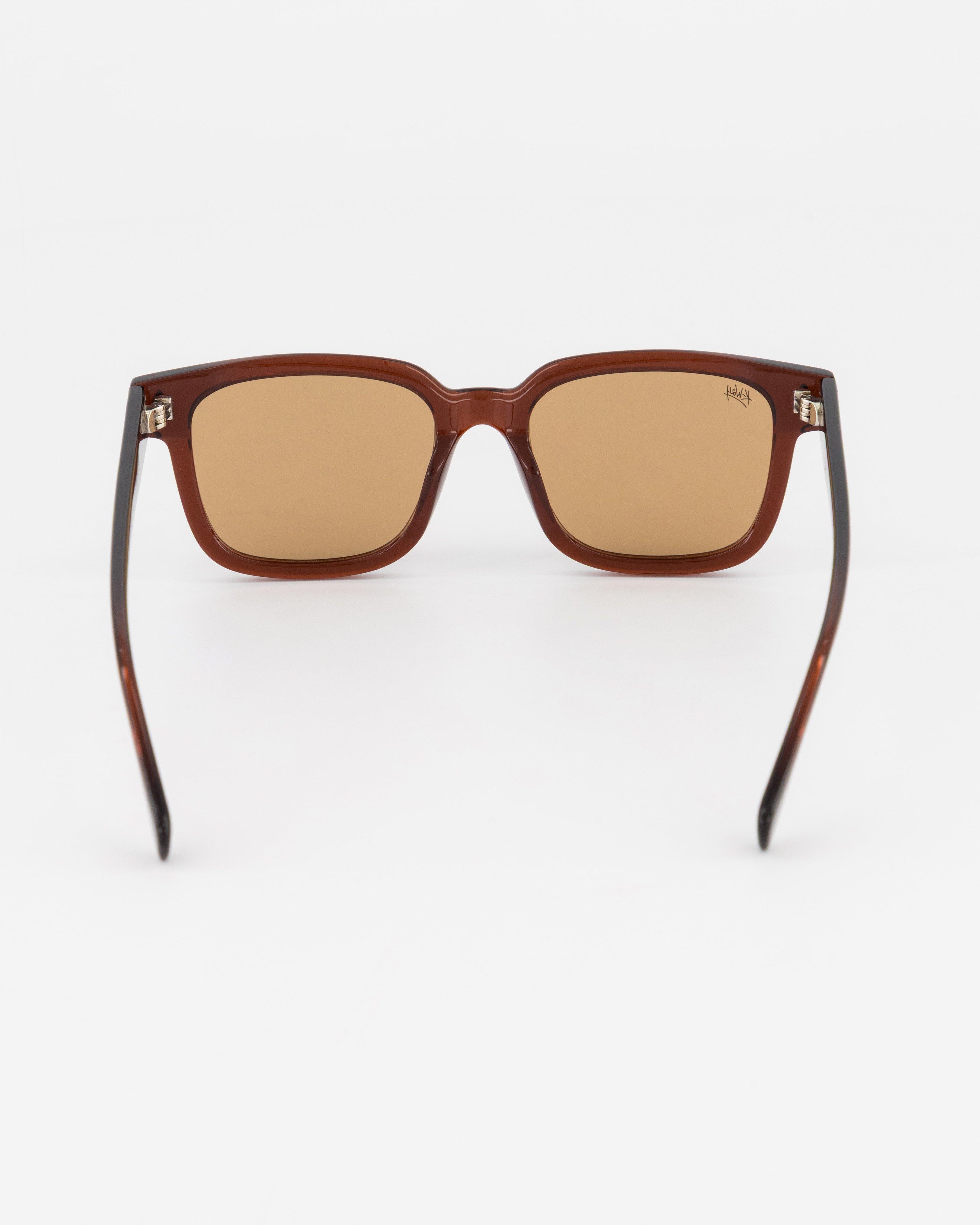 K-Way Winston Wayfarer Safari Sunglasses | Cape Union Mart