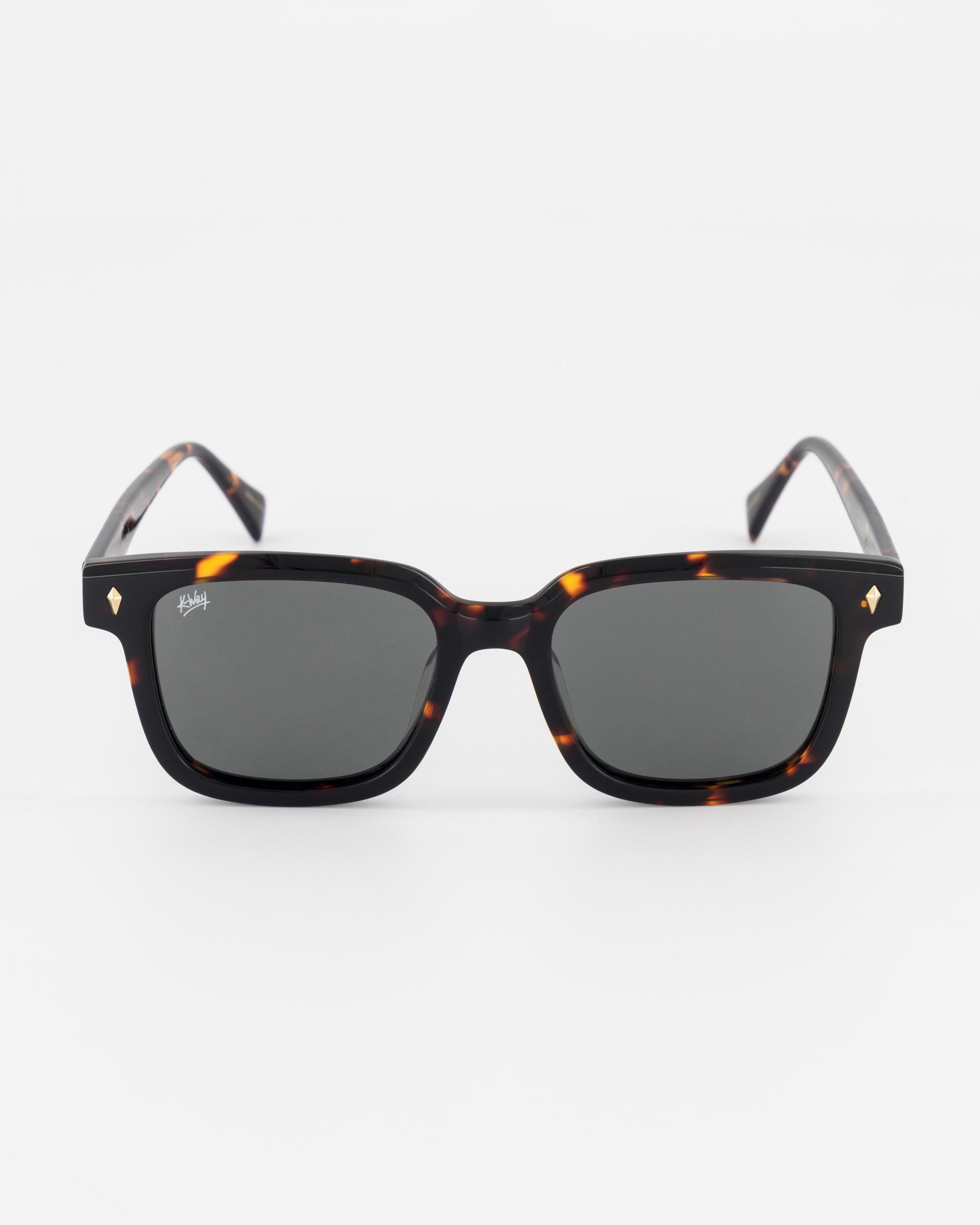 K-Way Winston Wayfarer Safari Sunglasses | Cape Union Mart