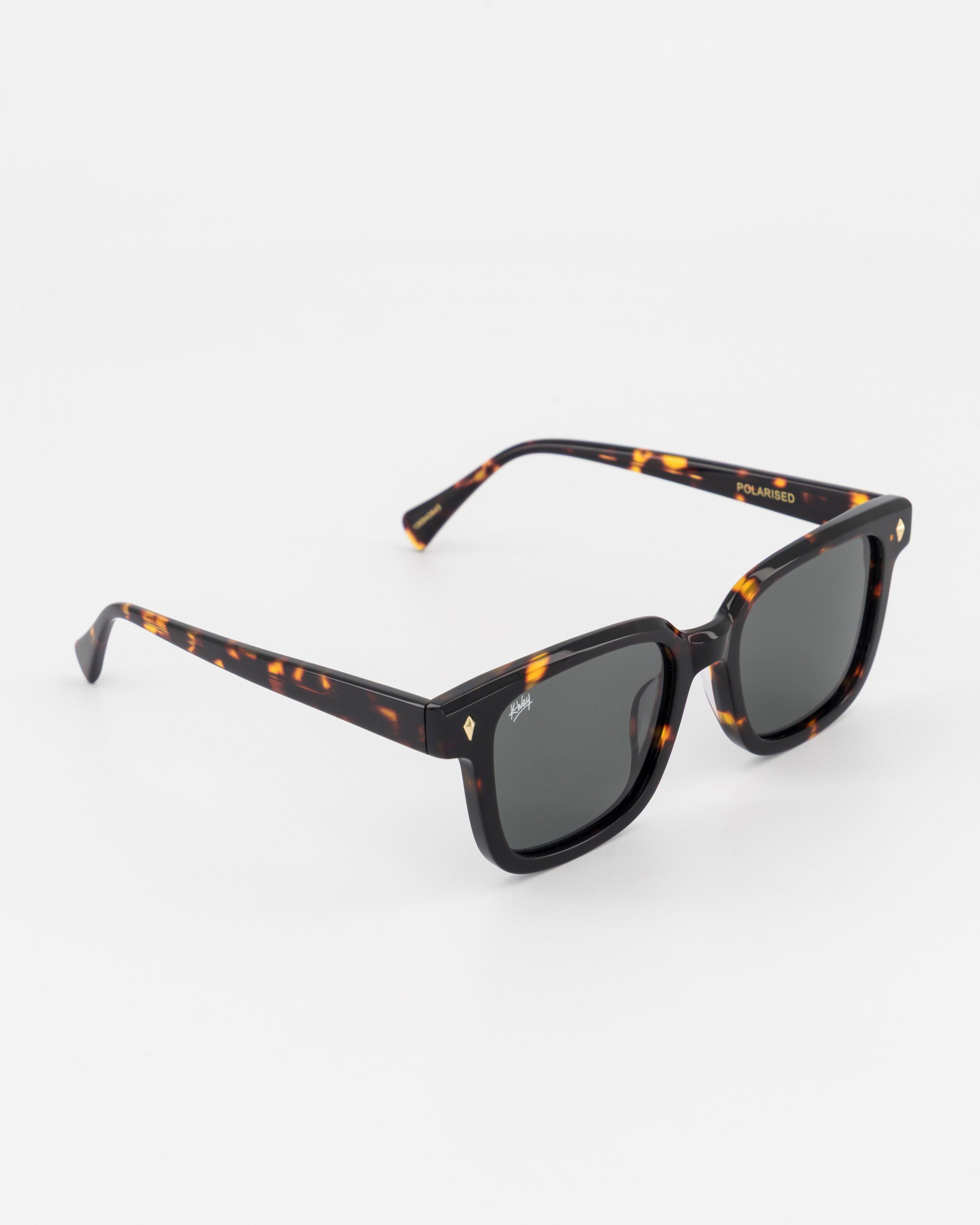 K-Way Winston Wayfarer Safari Sunglasses | Cape Union Mart