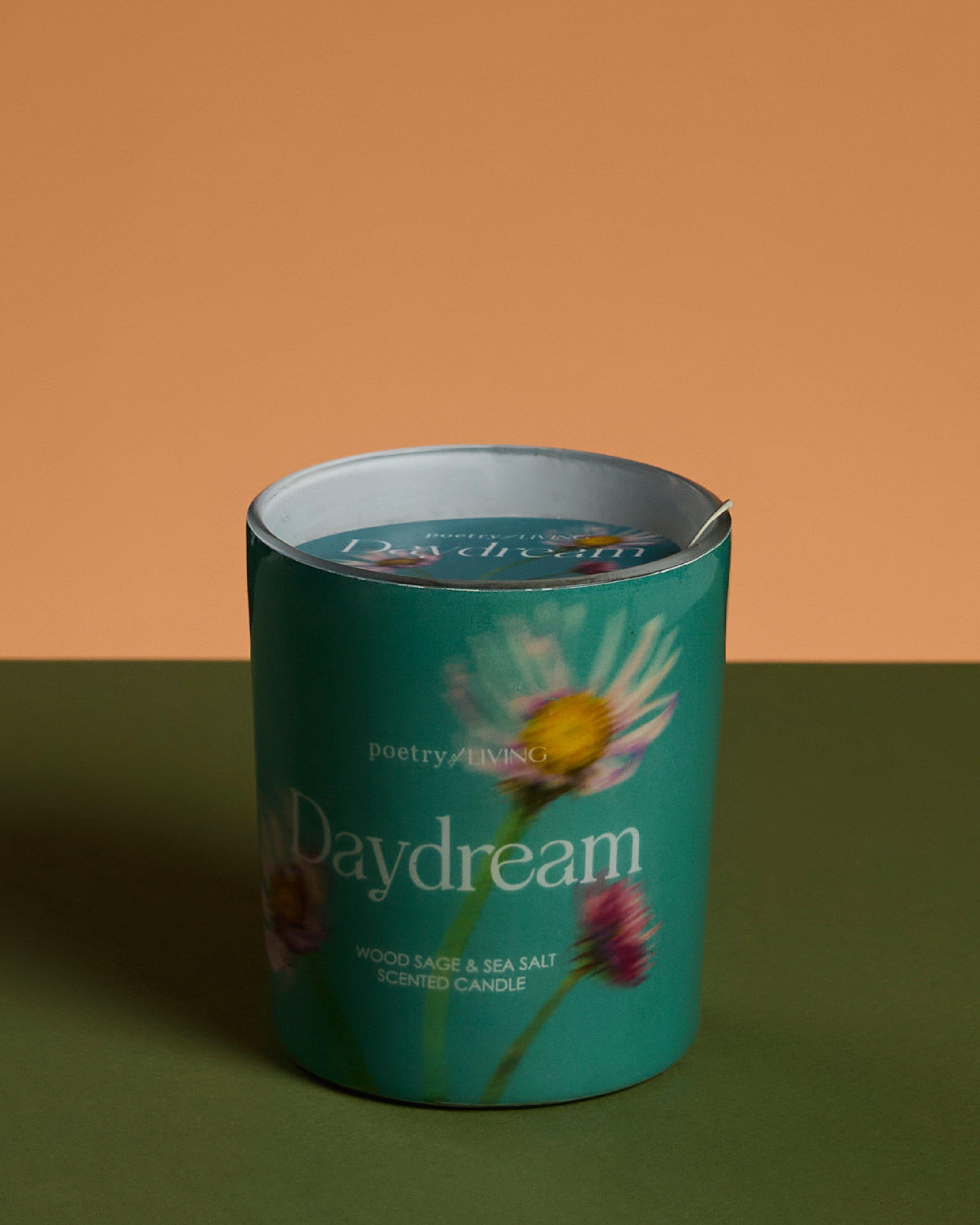Daydreaming Wood Sage and Sea Salt Boxed Candle -  Assorted