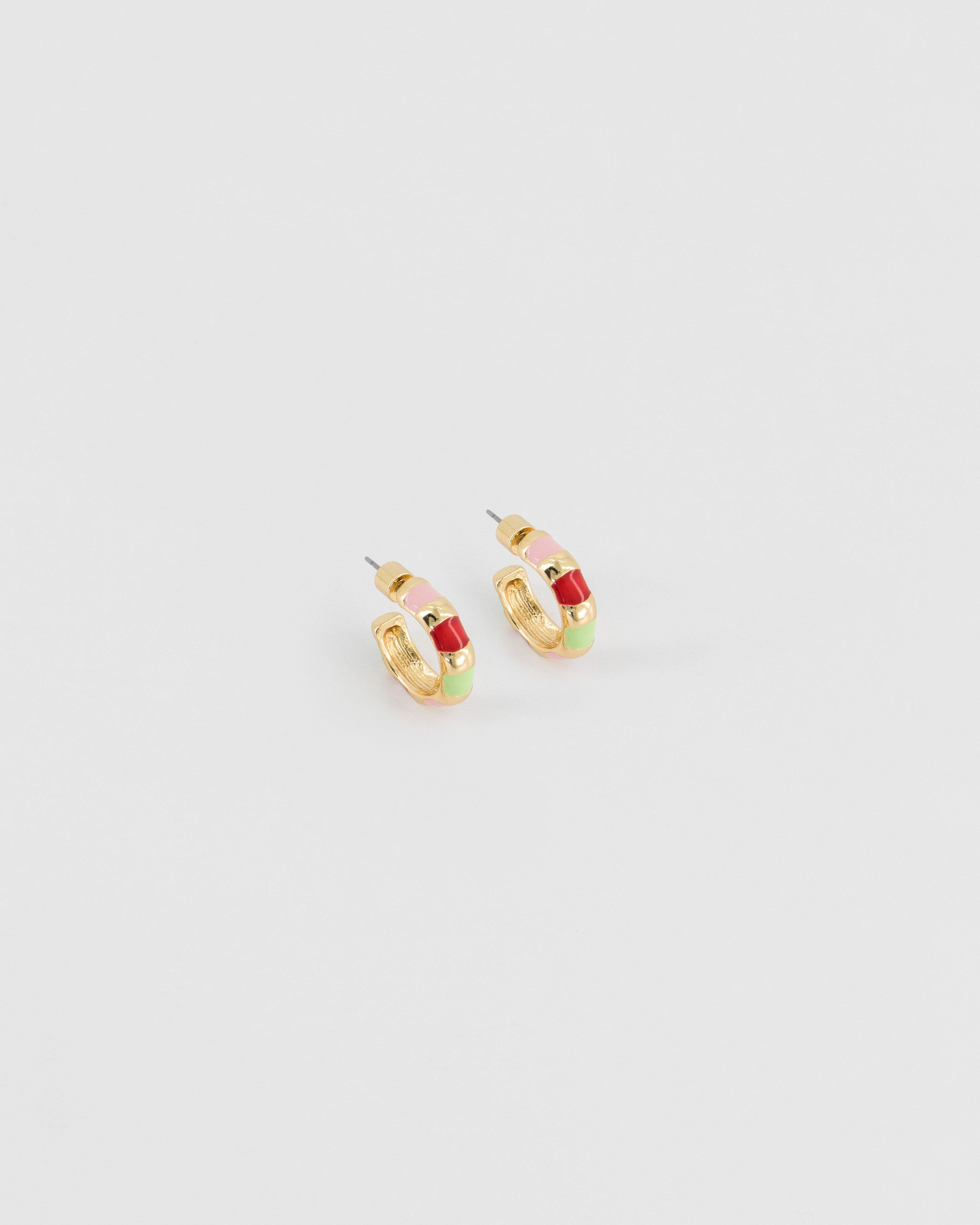 Epoxy Inlayed Hoop Earrings -  Assorted