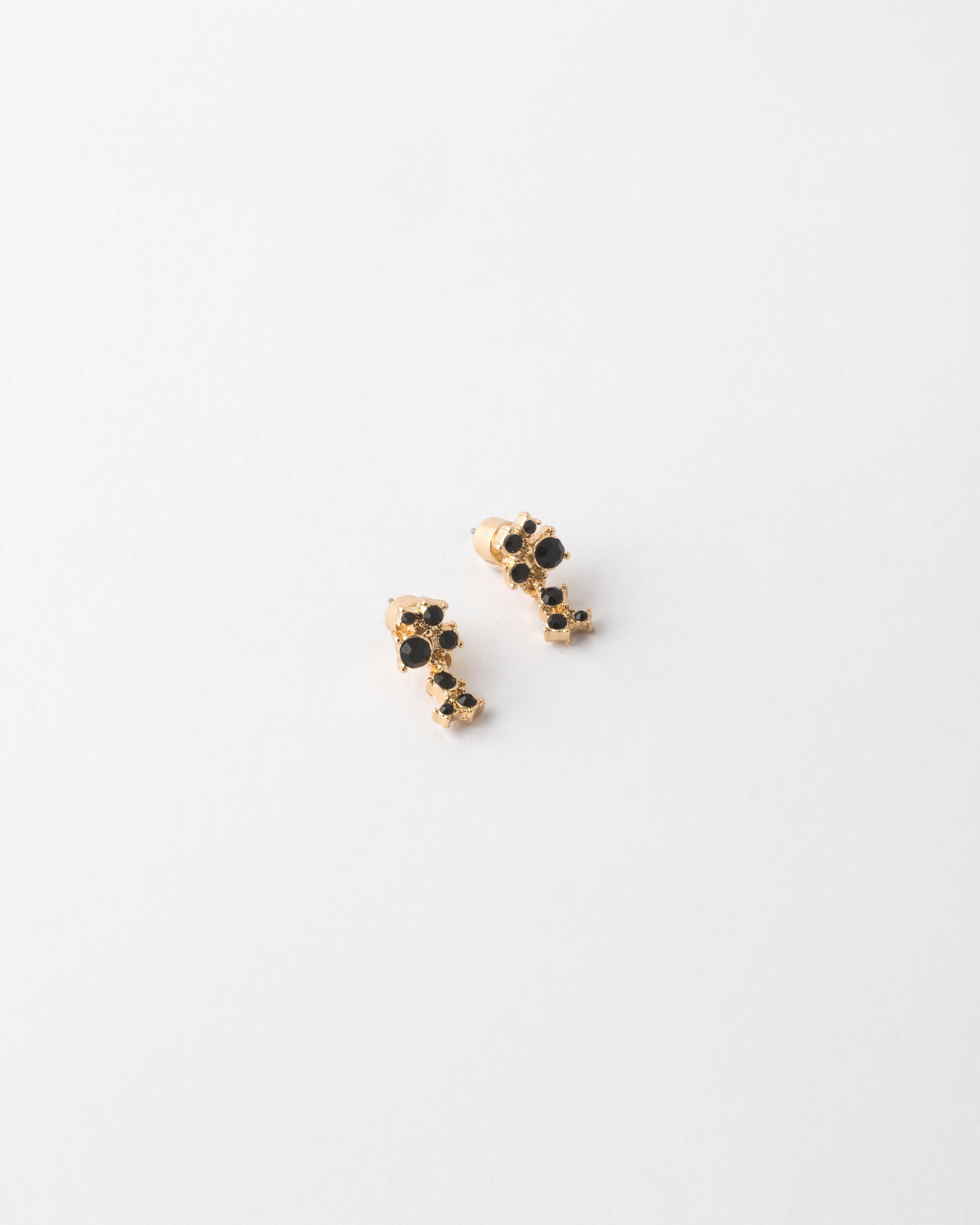Clustered Stone Earrings -  Black