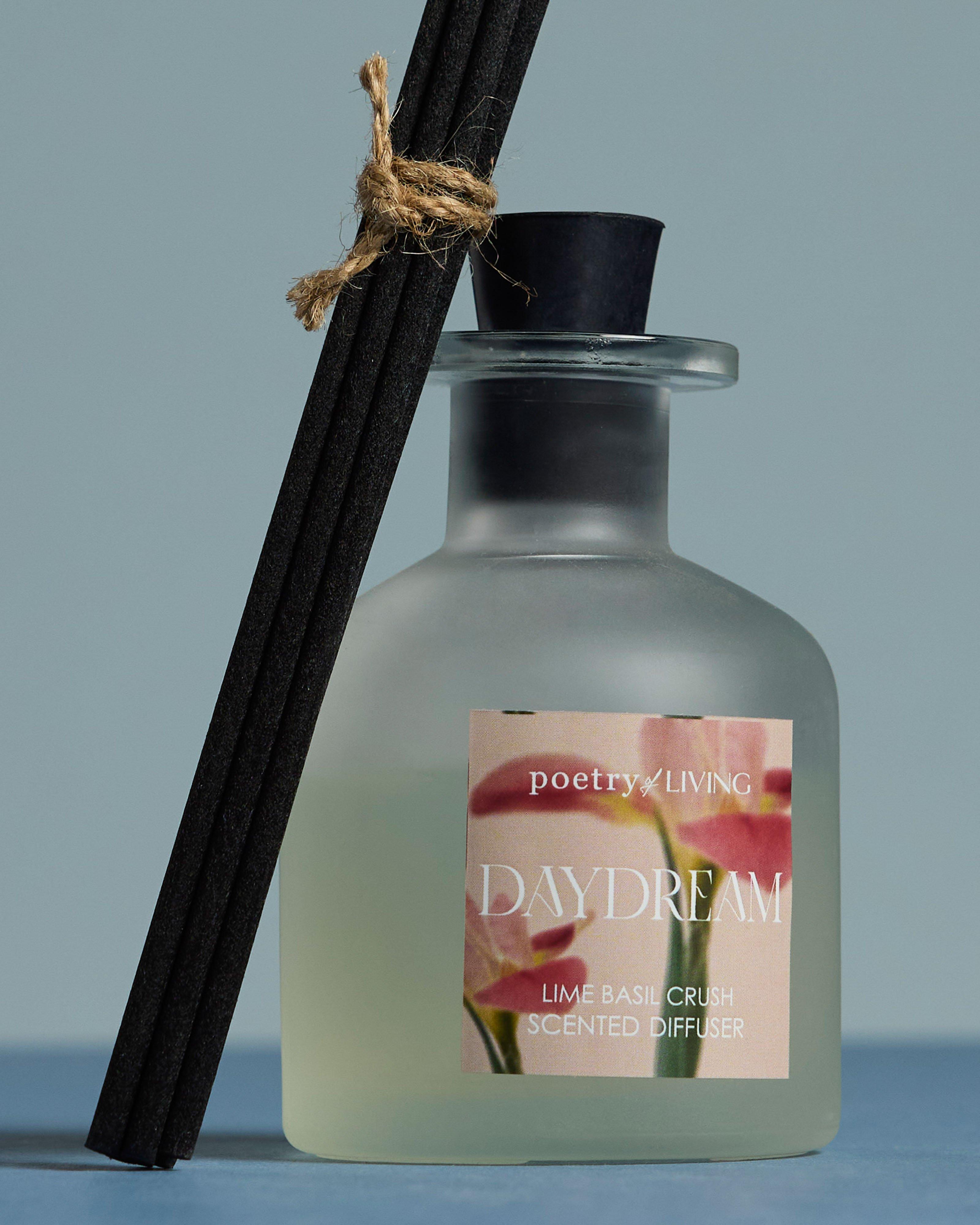  Daydreaming Lime & Basil Scented Fragrance Diffuser -  Assorted