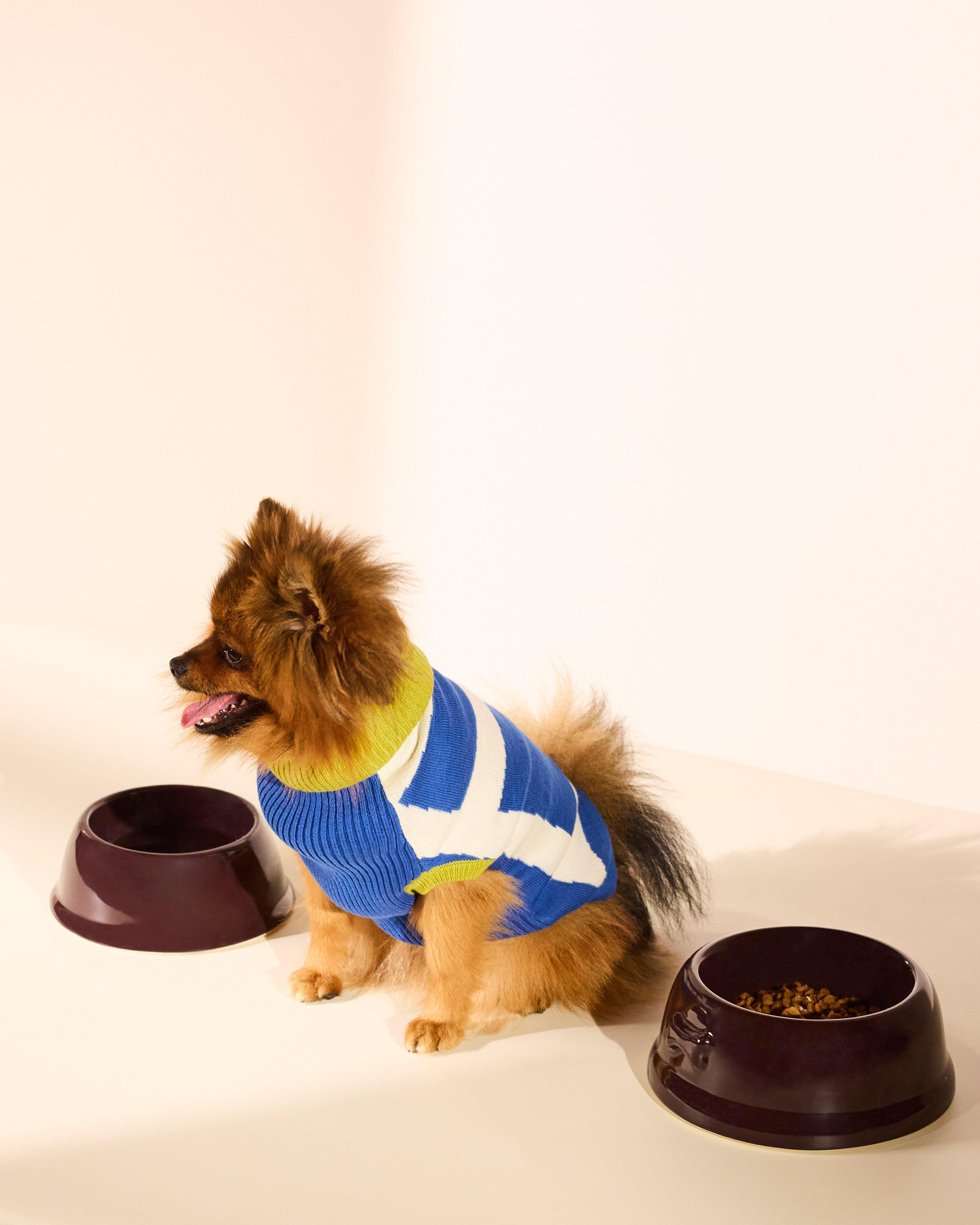 Ceramic Large Pet Bowl -  Burgundy