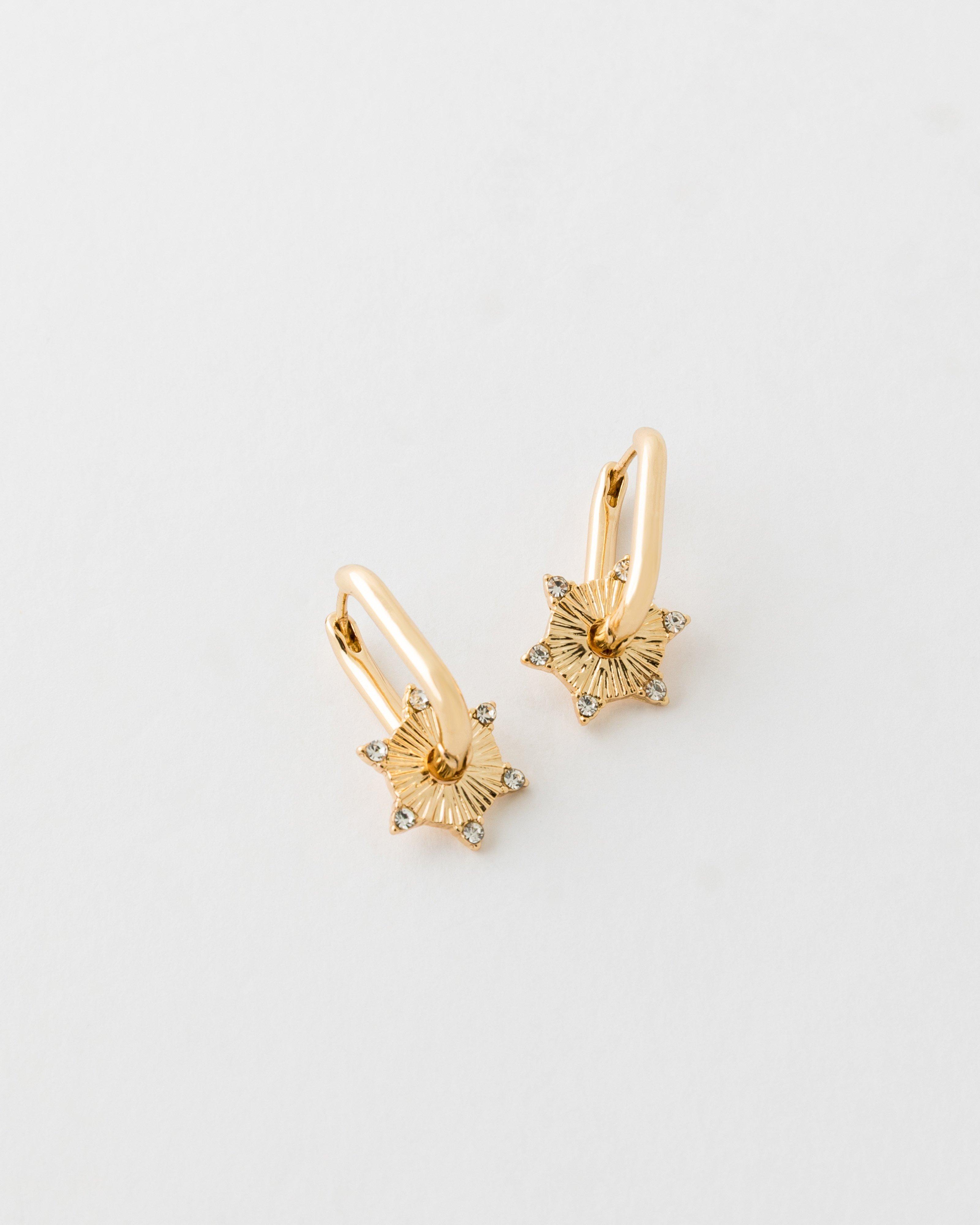 Disk With Colour Stone Earrings  -  Gold