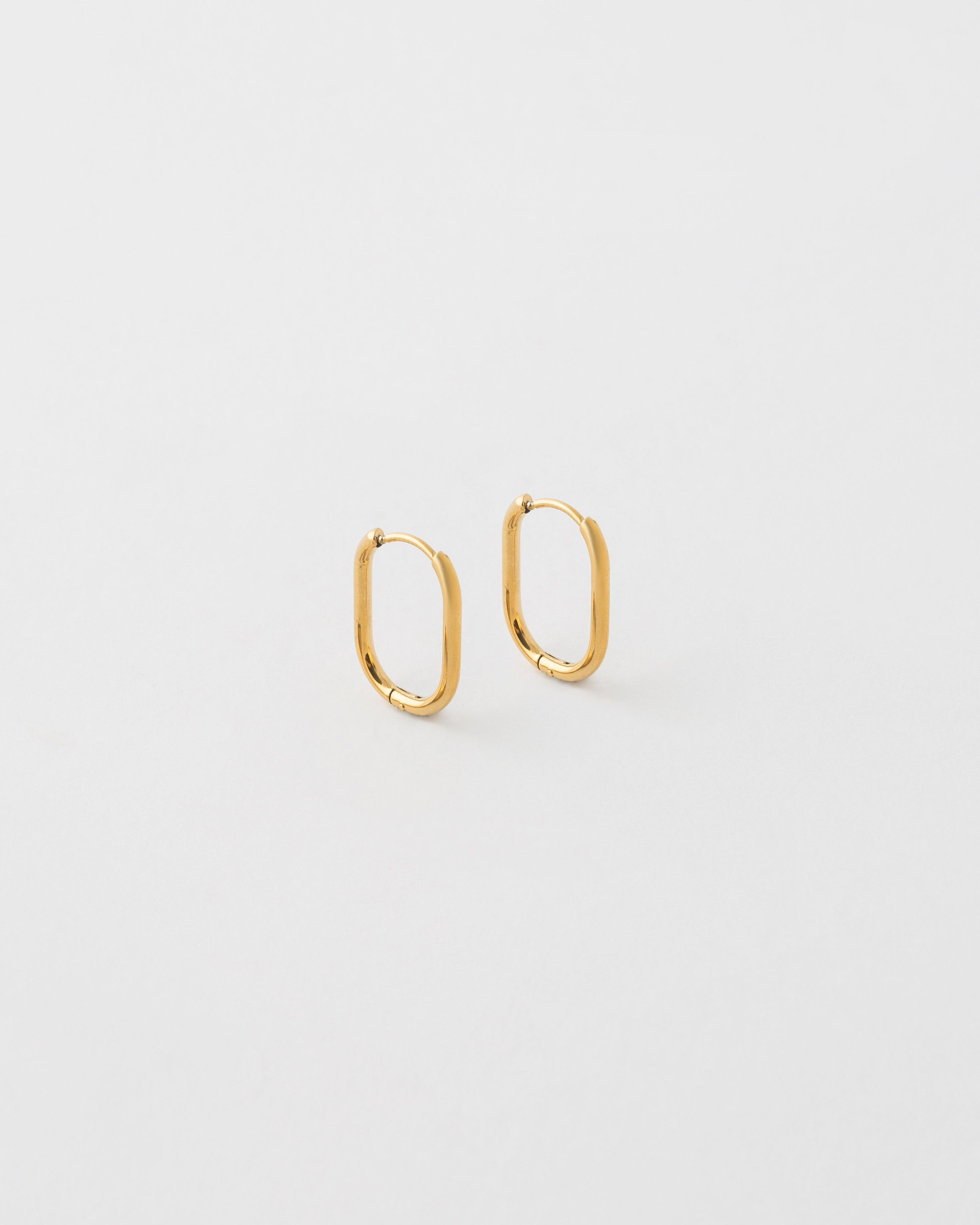 Stainless Steel Hoop Earrings -  Gold