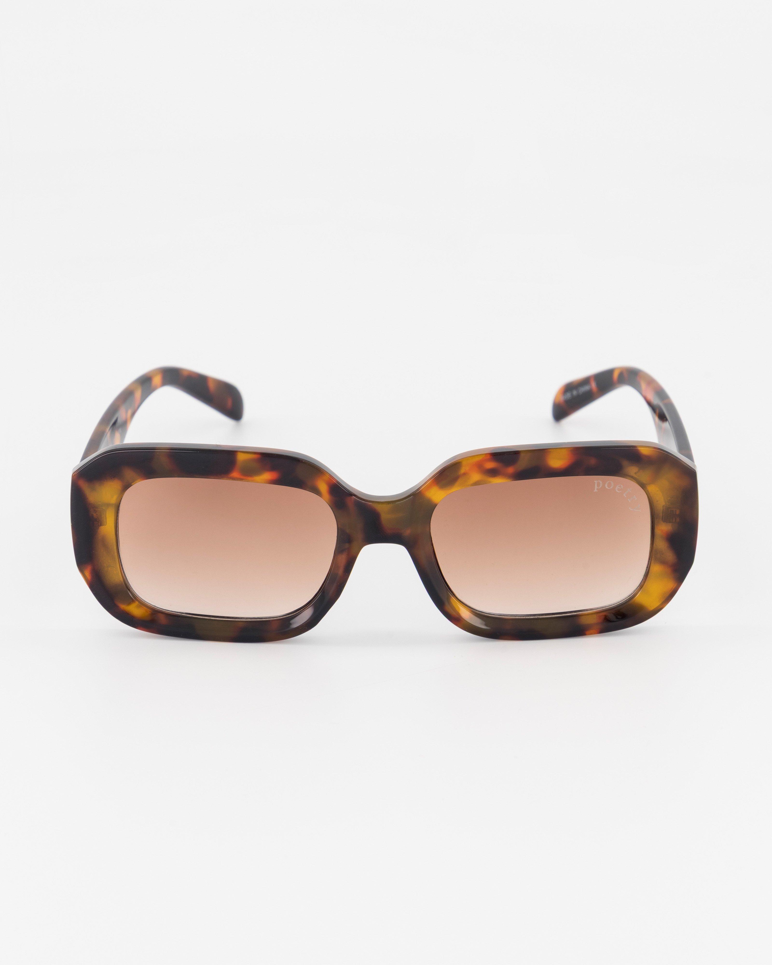 Leonna Square Sunglasses -  Brown