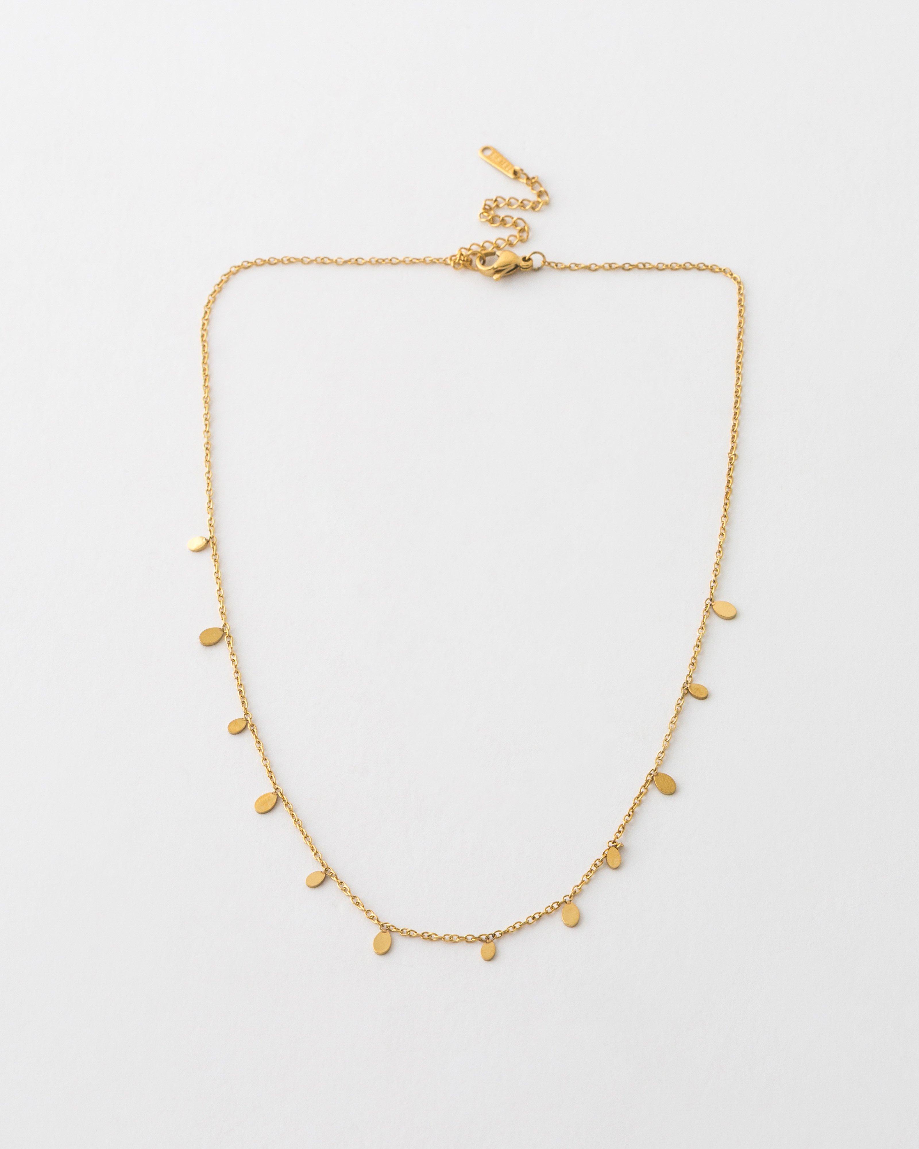 Stainless Steel Delicate Necklace -  Gold