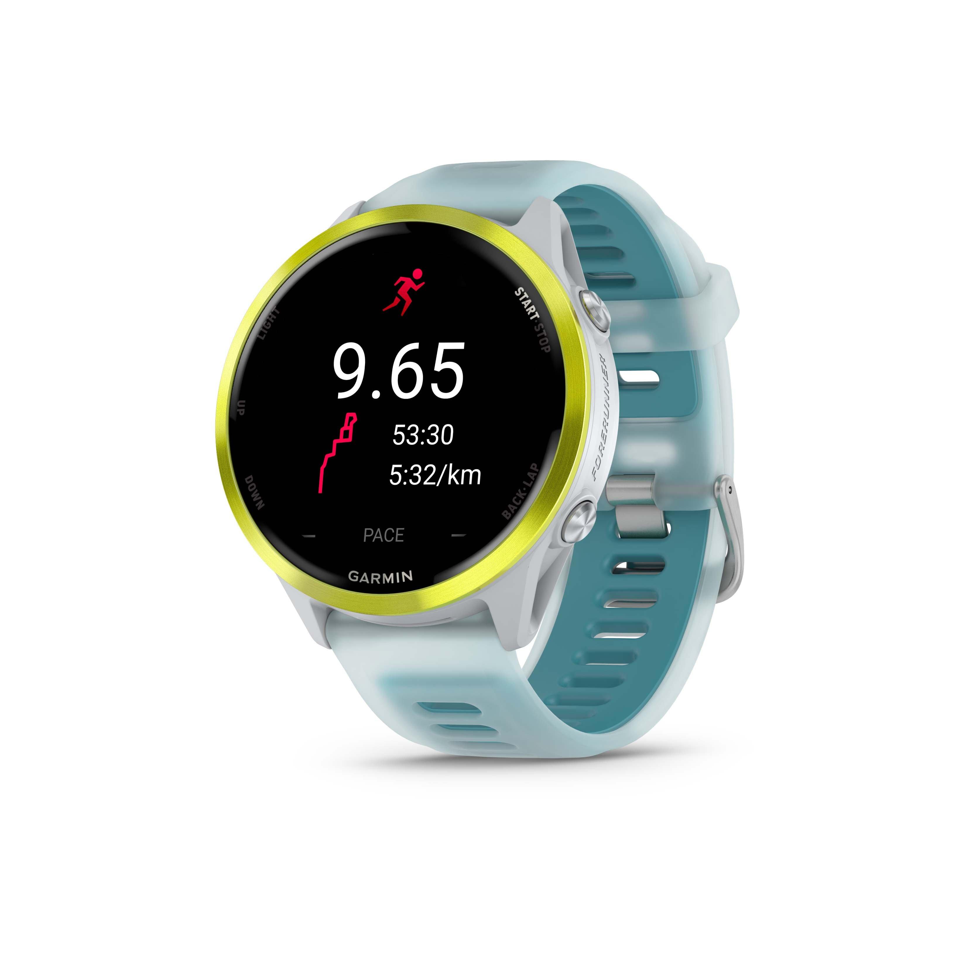 Blue Triangle Garmin Forerunner Frozen Garmin Fenix Garmin