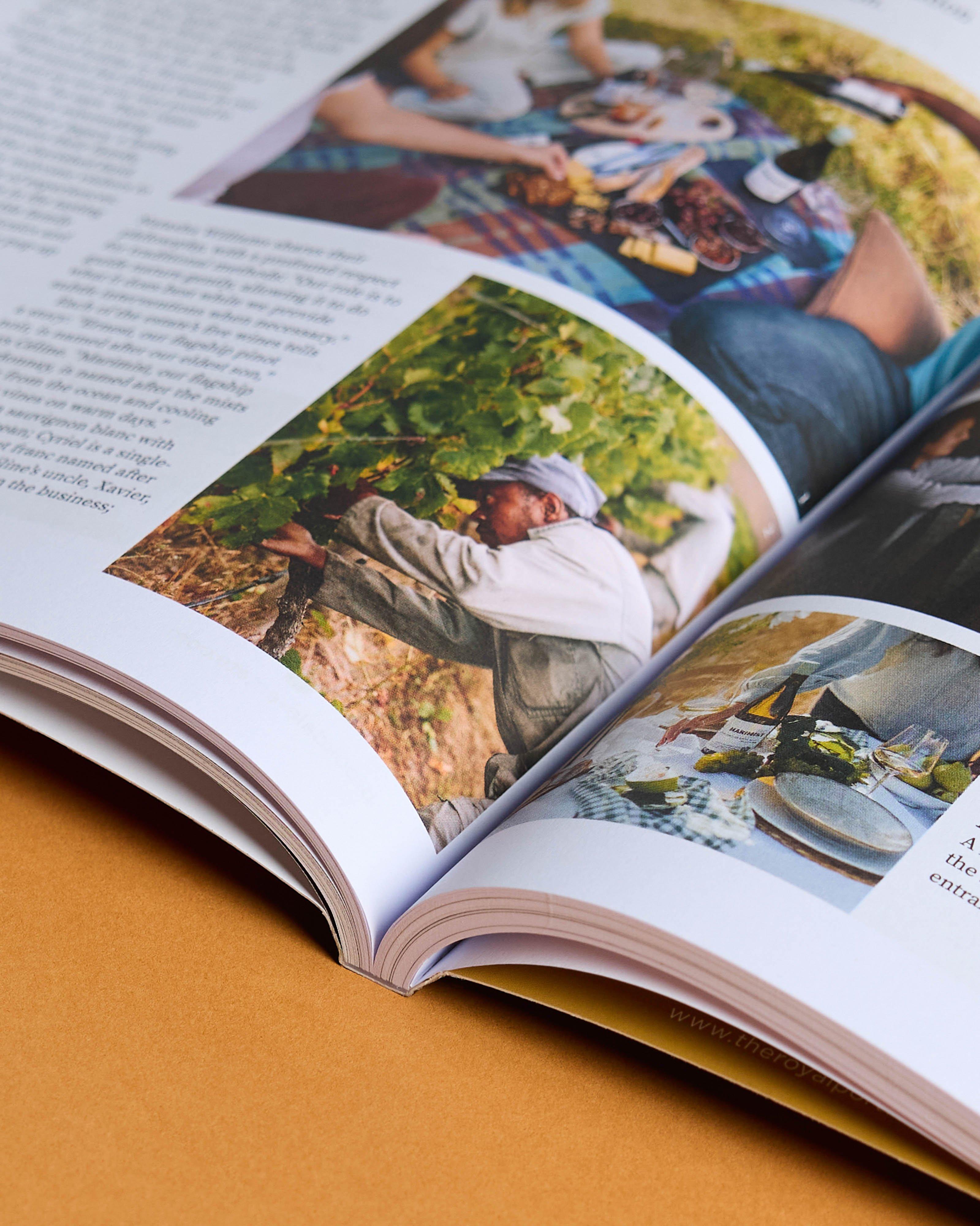  Inside Guide: The Hot List Cape Town 2026 -  Assorted