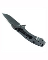 Kershaw Cryo G10 Folding Knife -  silver